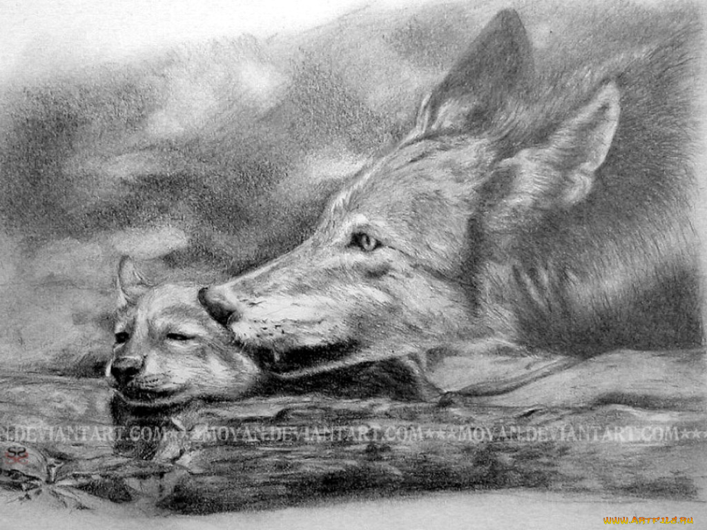 рисованные, животные, волки