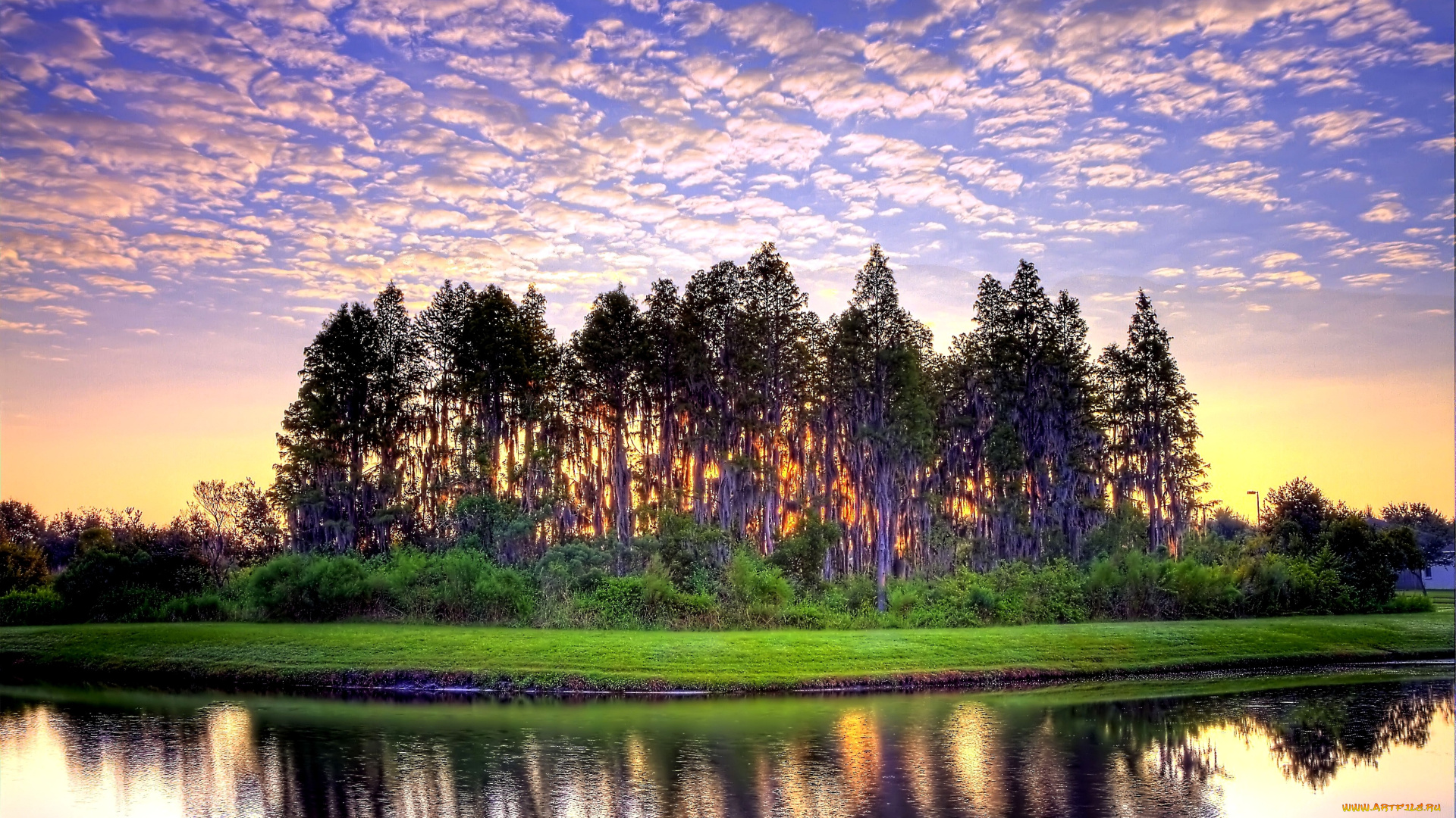 природа, деревья, облака, закат, вода, трава