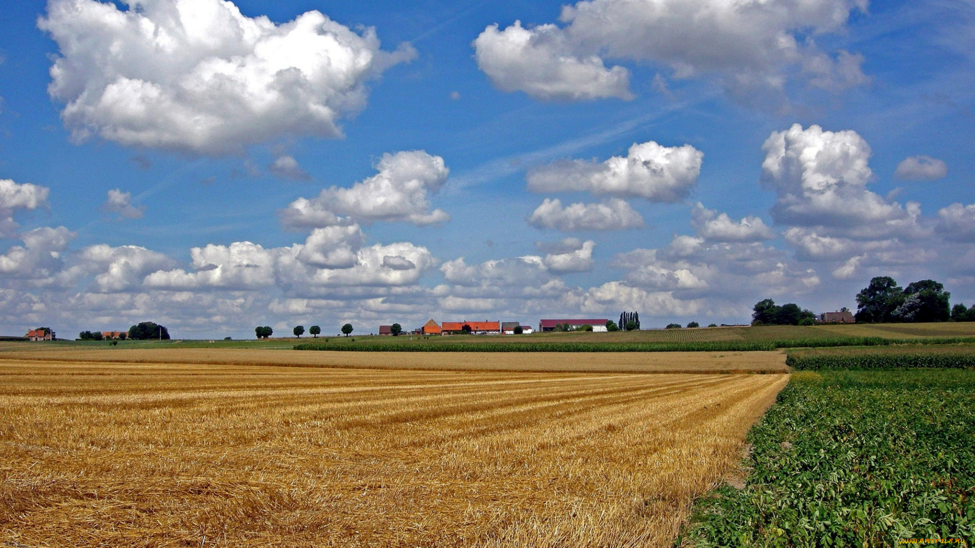природа, поля, вид, растения, дома