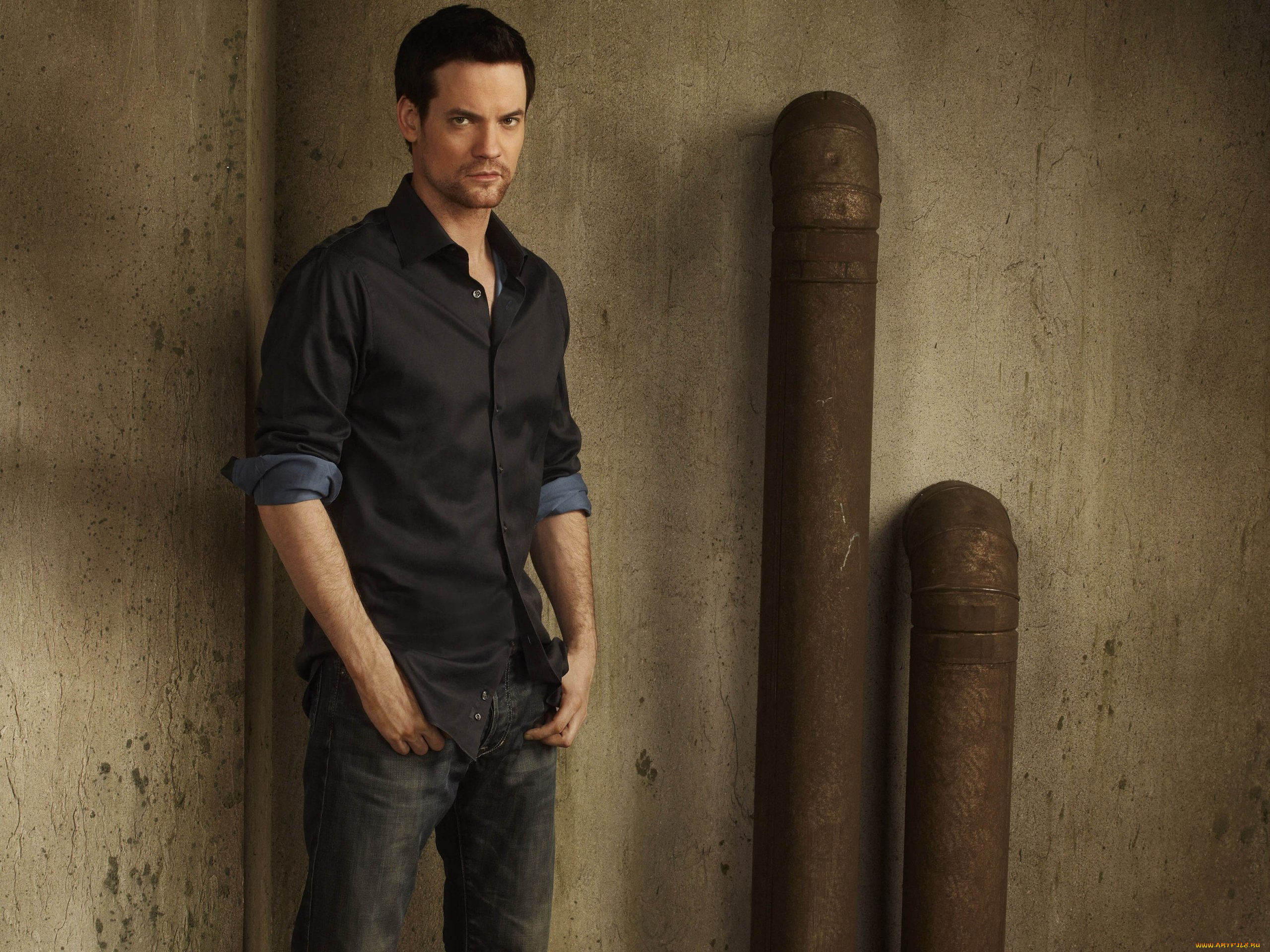 nikita, кино, фильмы