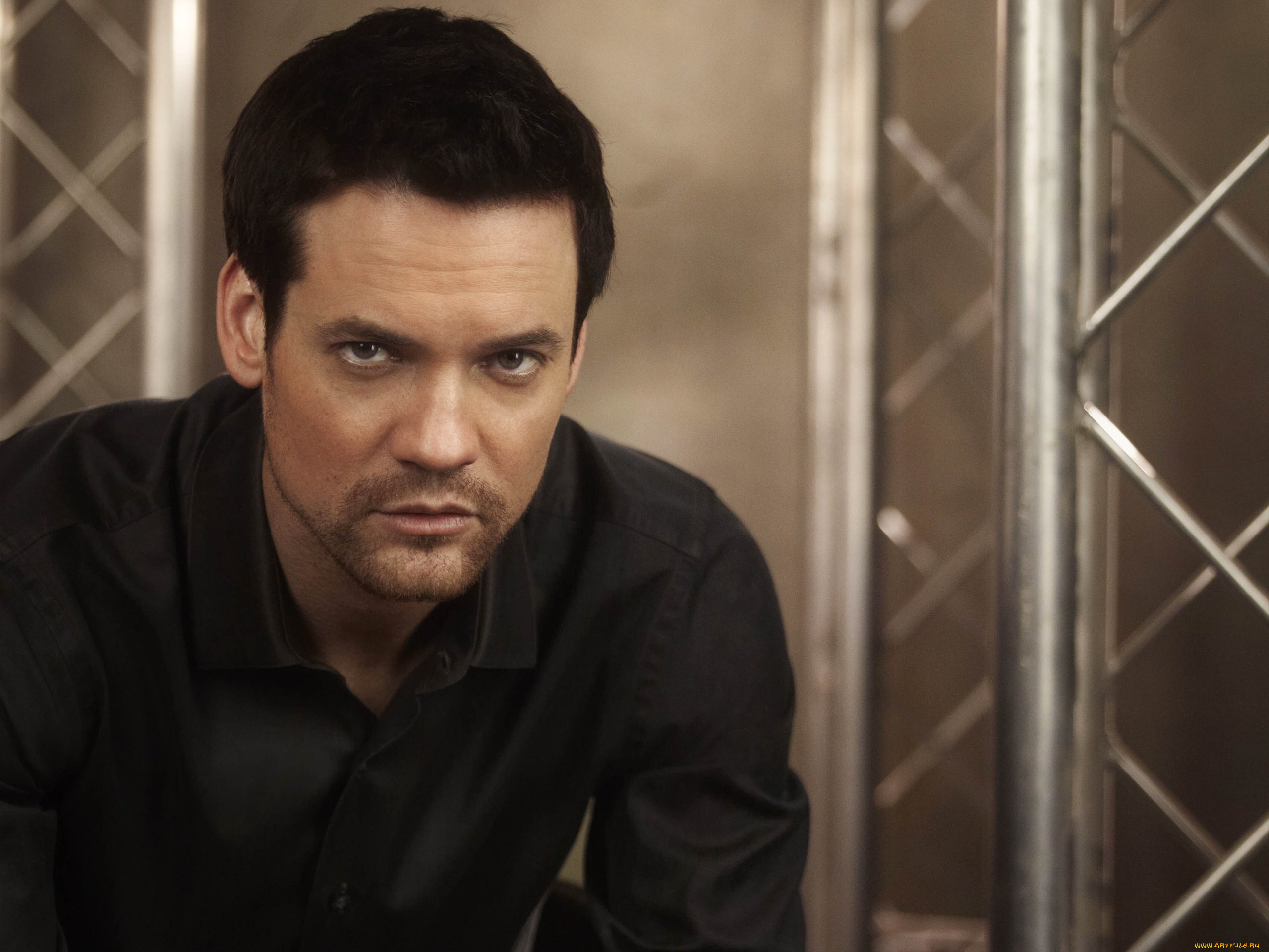 nikita, кино, фильмы