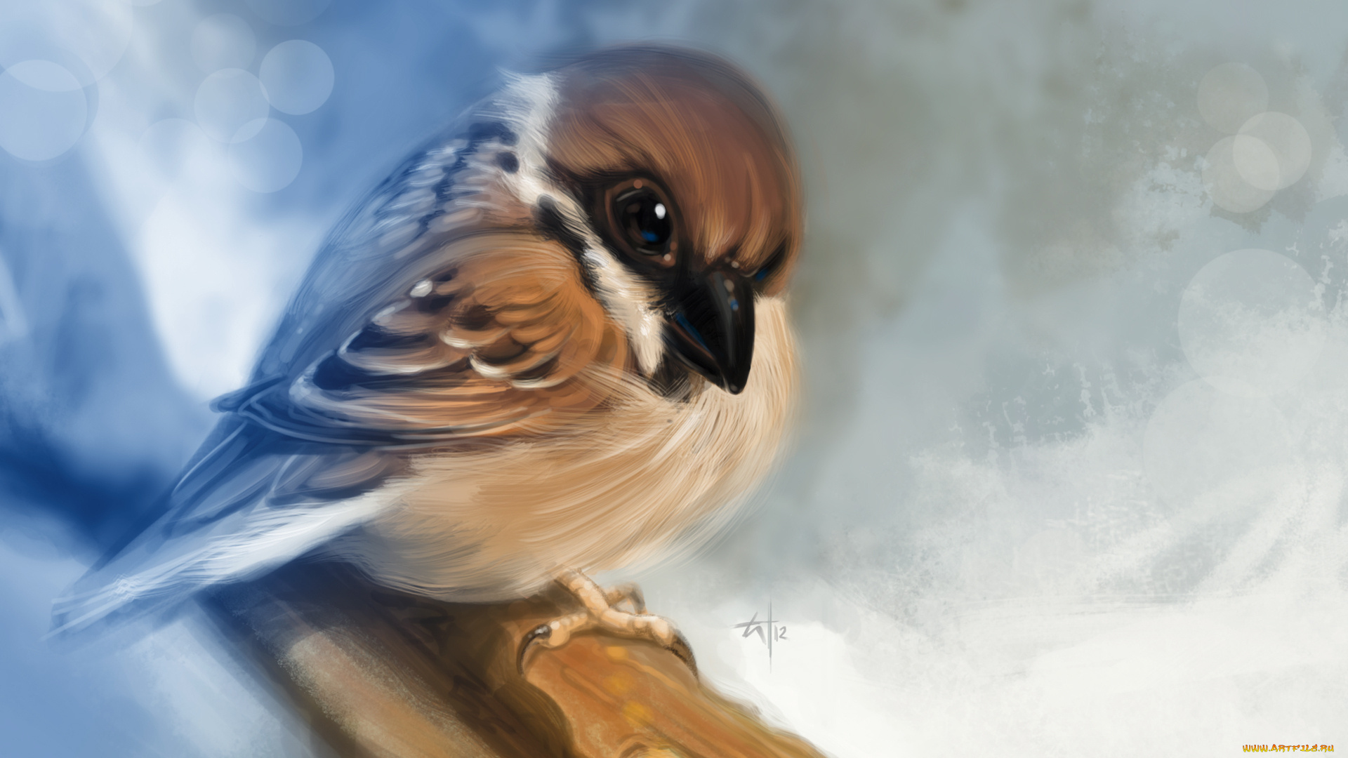 рисованные, животные, птицы, птичка