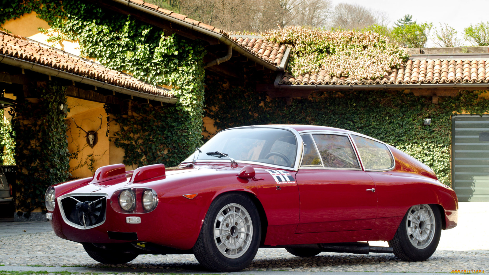 1964, lancia, flavia, sport, corsa, 815, автомобили