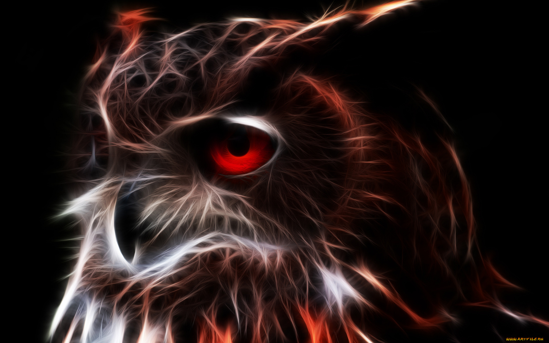 разное, компьютерный, дизайн, сова