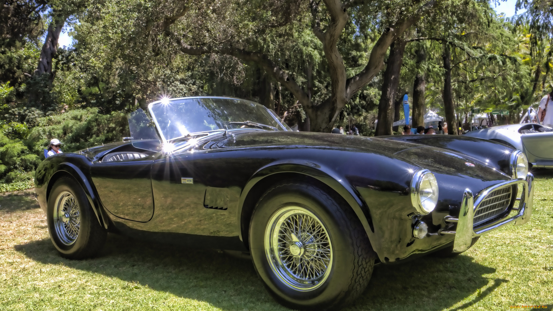 1964, ac, cobra, 289, автомобили, выставки, и, уличные, фото, выставка, автошоу