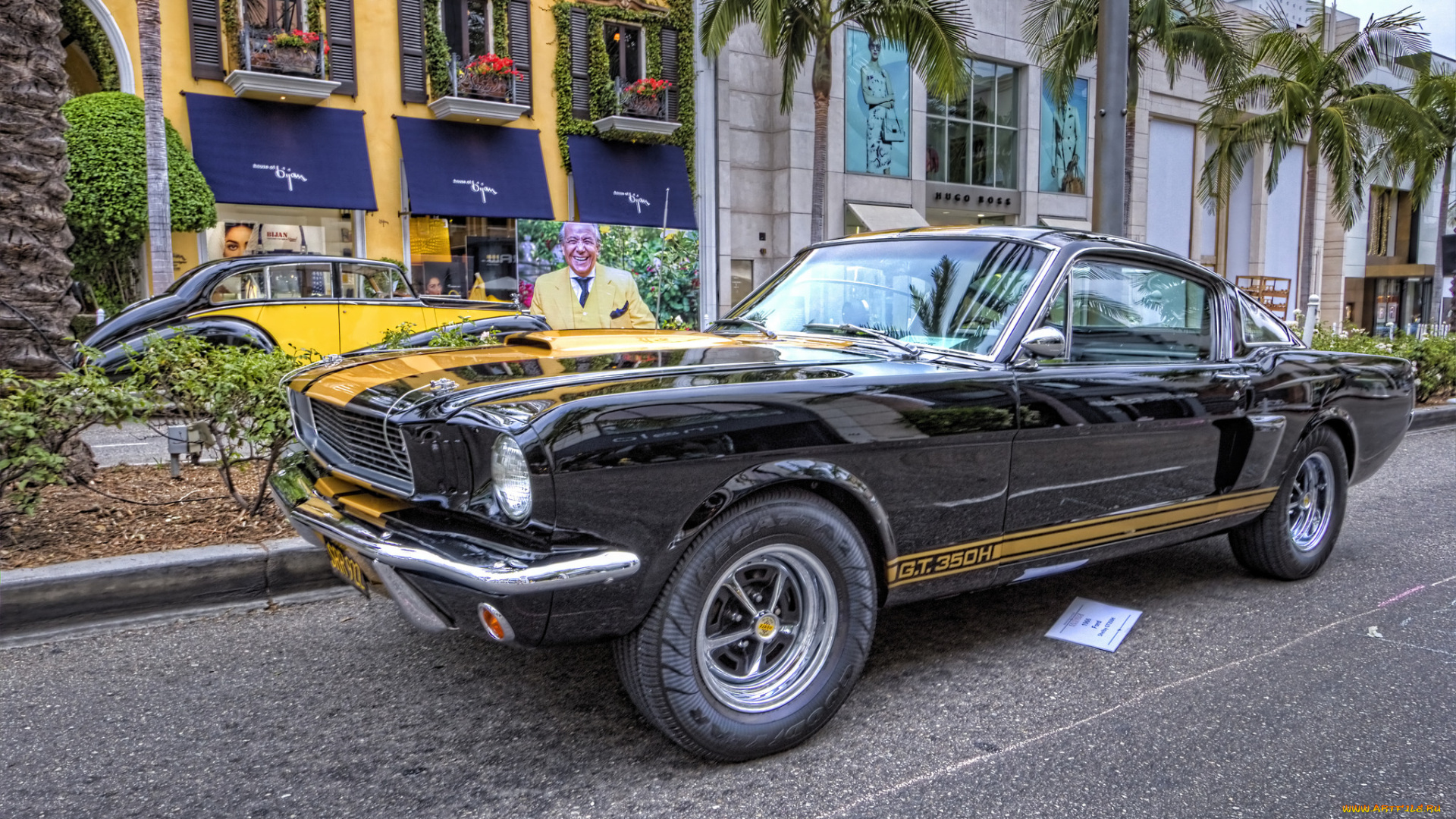 1966, ford, mustang, shelby, gt350h, автомобили, выставки, и, уличные, фото, выставка, автошоу