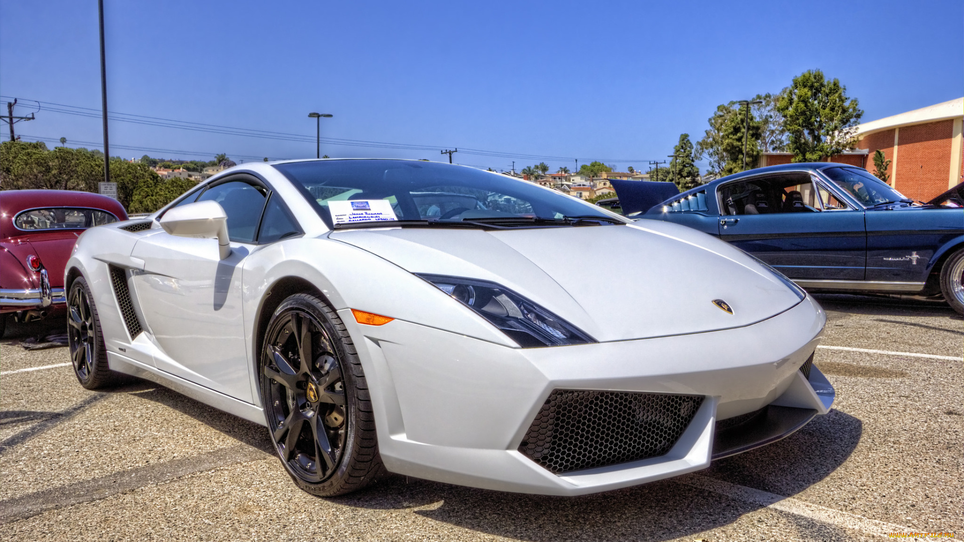 2010, lamborghini, gallardo, lp560-4, автомобили, выставки, и, уличные, фото, выставка, автошоу