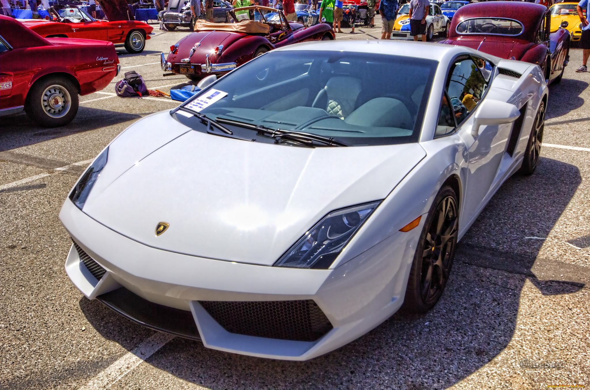 2010, lamborghini, gallardo, lp560-4, автомобили, выставки, и, уличные, фото, выставка, автошоу