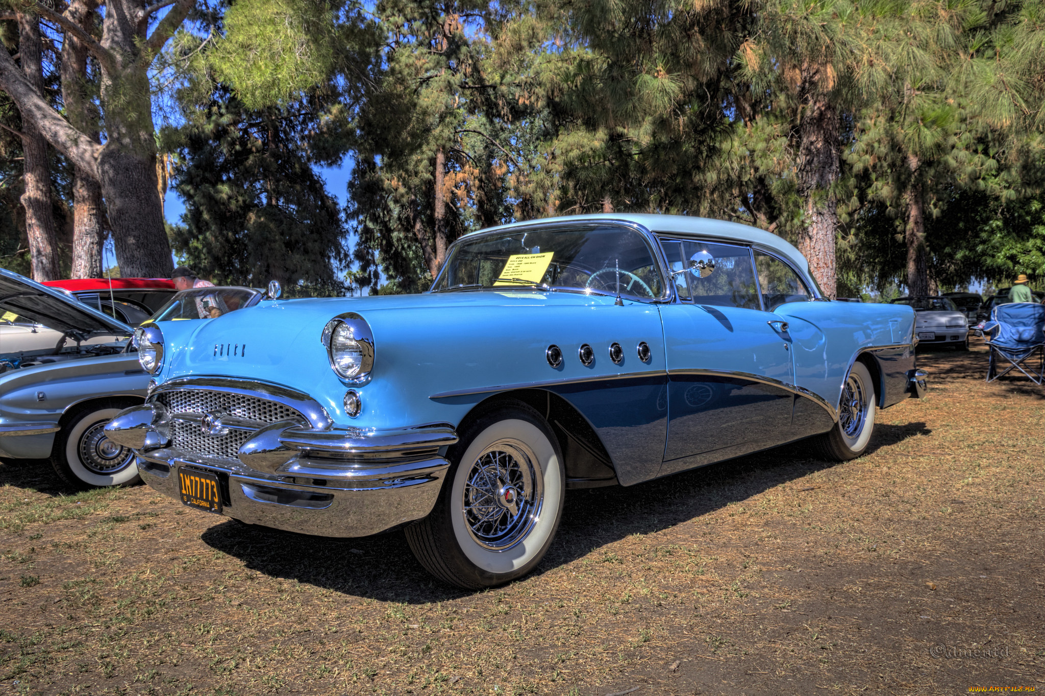 1955, buick, century, 2-door, hardtop, автомобили, выставки, и, уличные, фото, выставка, автошоу