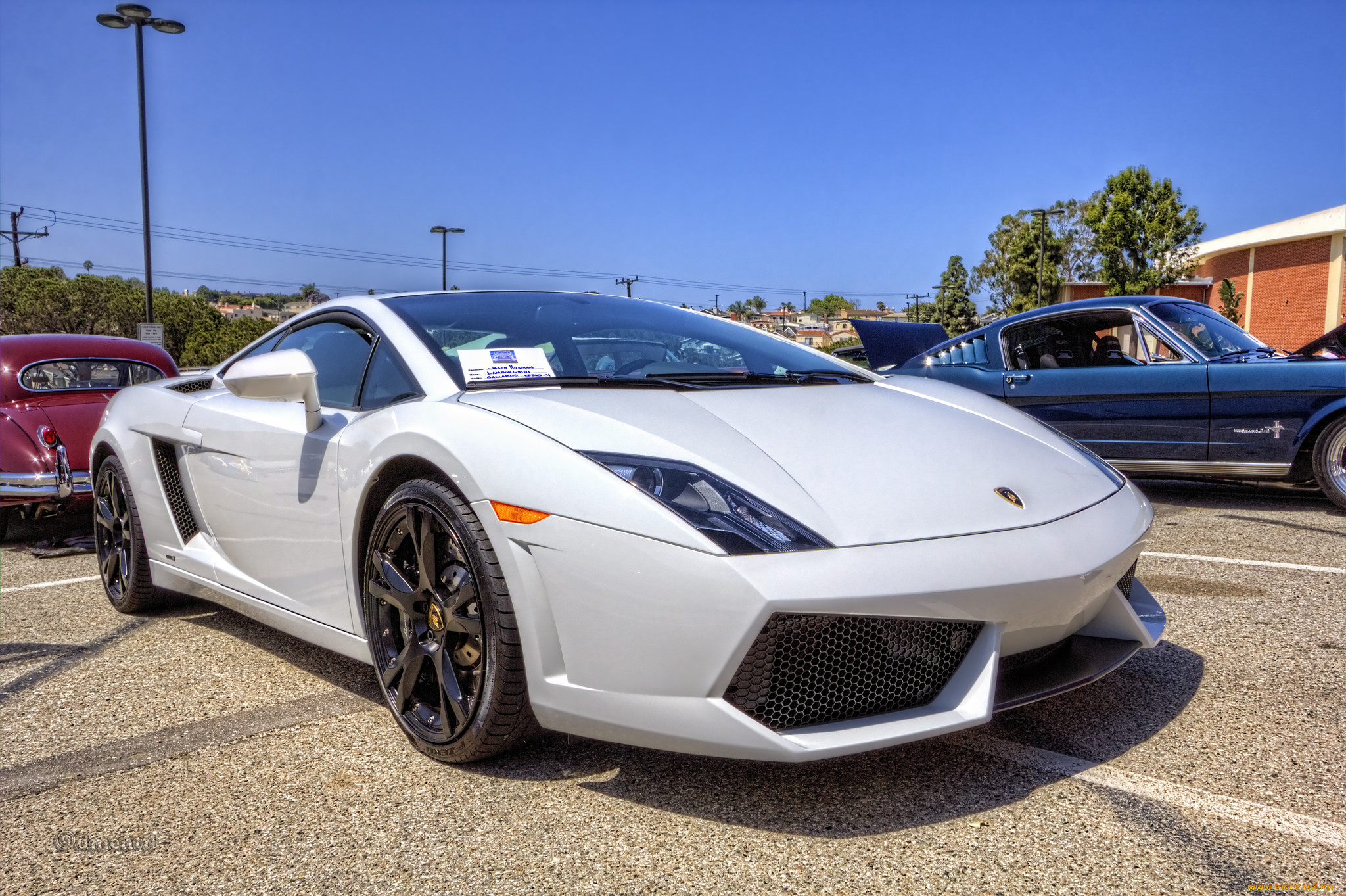 2010, lamborghini, gallardo, lp560-4, автомобили, выставки, и, уличные, фото, выставка, автошоу