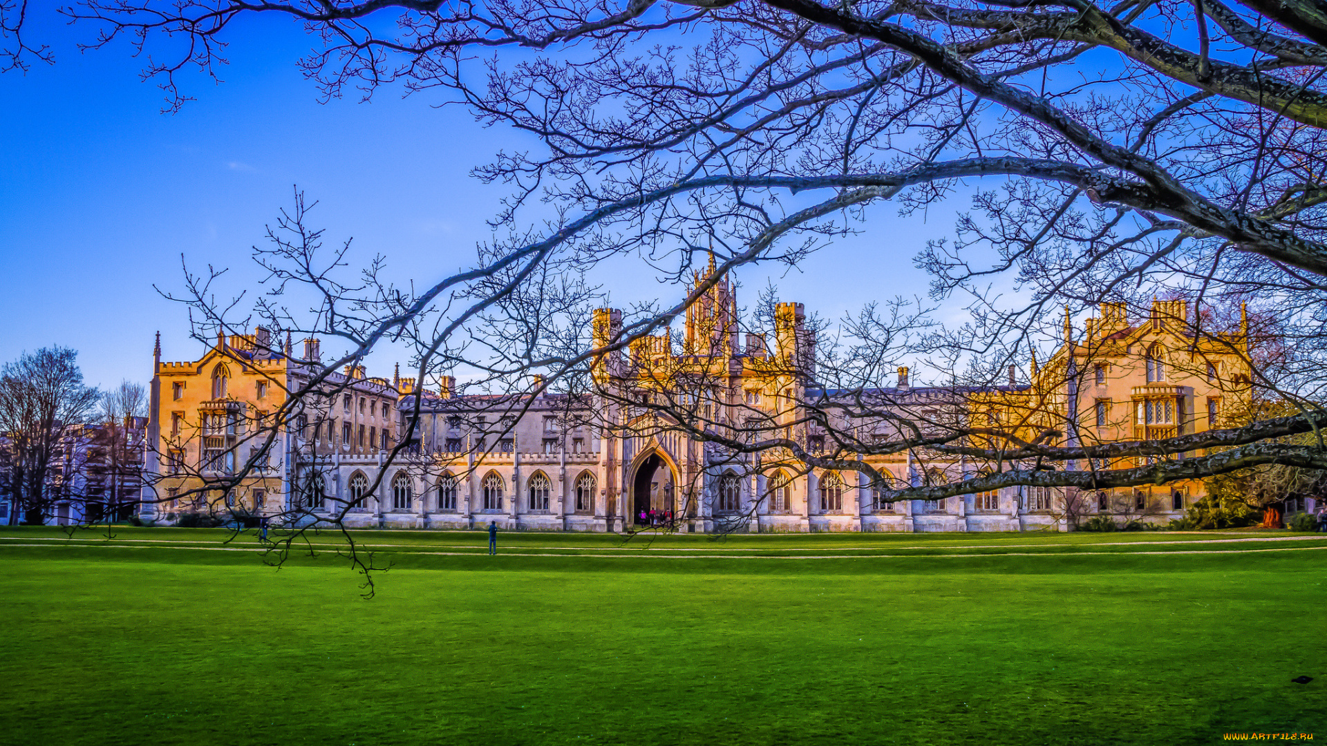 cambridge, города, -, здания, , дома, университет, лужайка