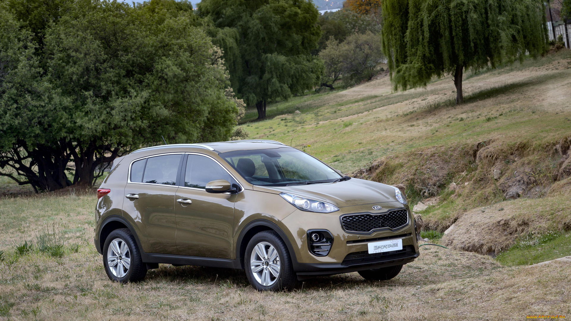 автомобили, kia, sportage