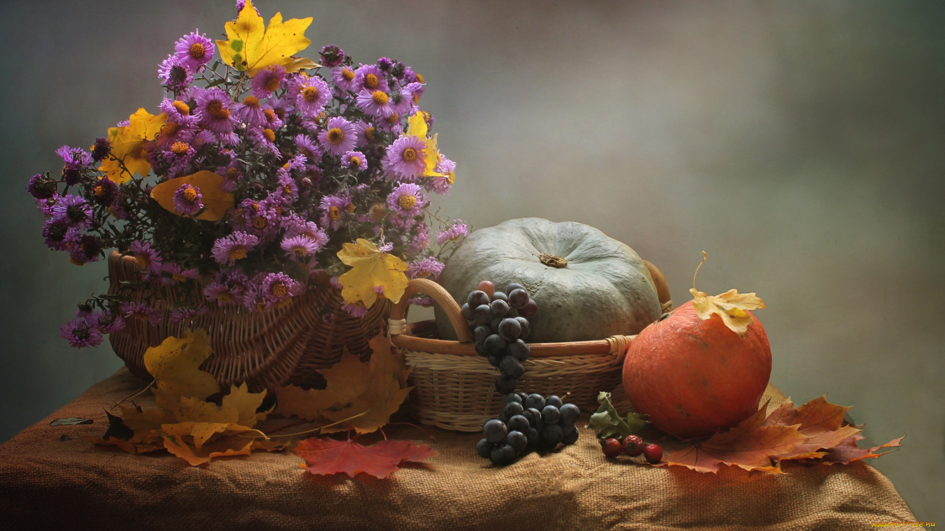 еда, натюрморт, цветы, тыква, букет, листья, осень, виноград