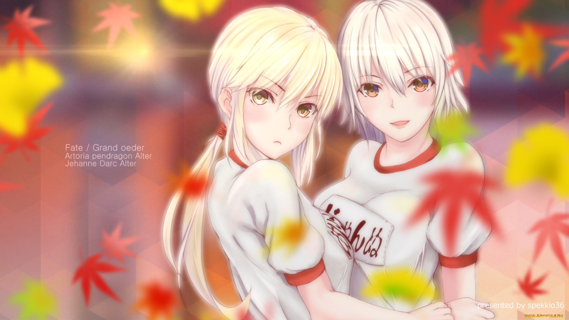 аниме, fate, stay, night, grand, order