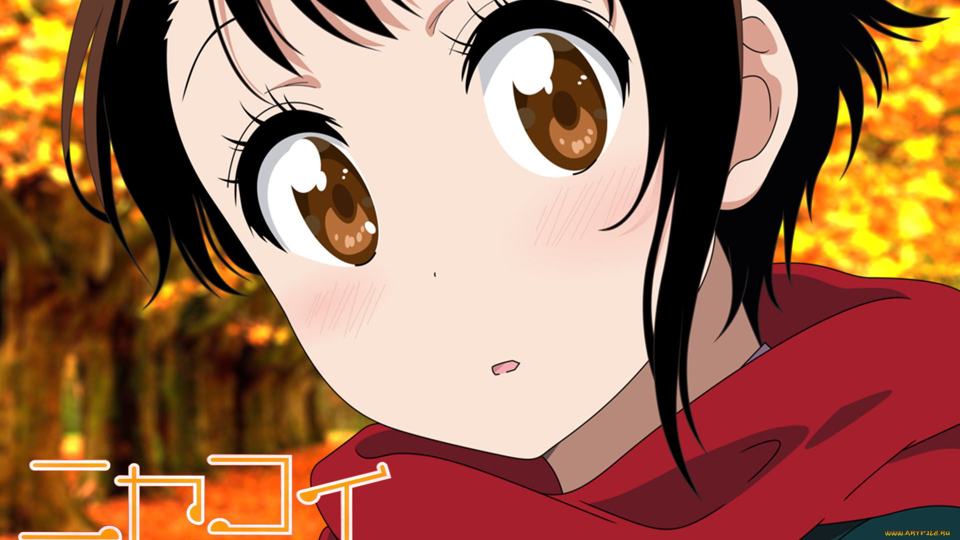 аниме, nisekoi, взгляд, фон, девушка