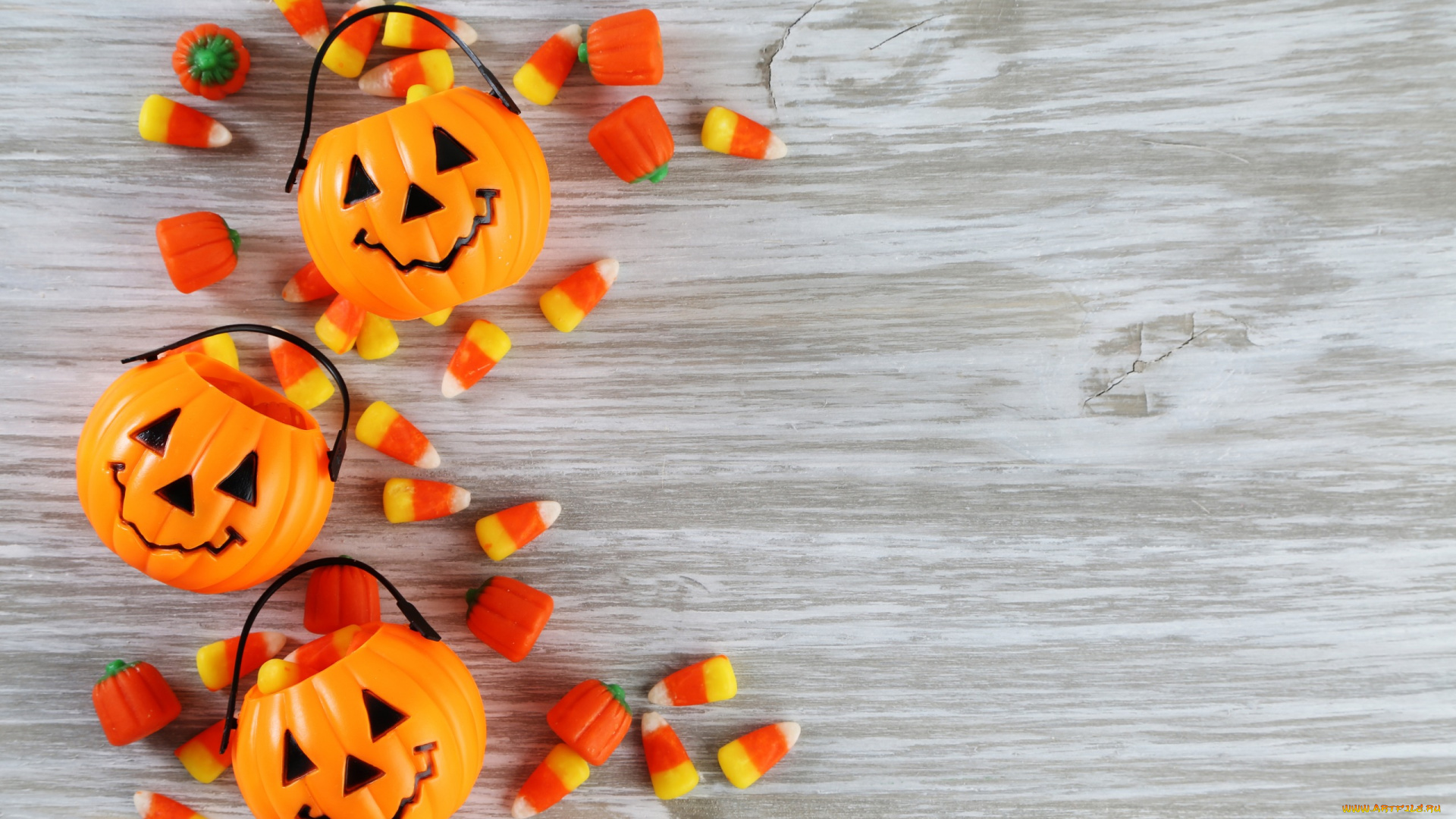 праздничные, хэллоуин, floor, pumpkins, halloween, wood