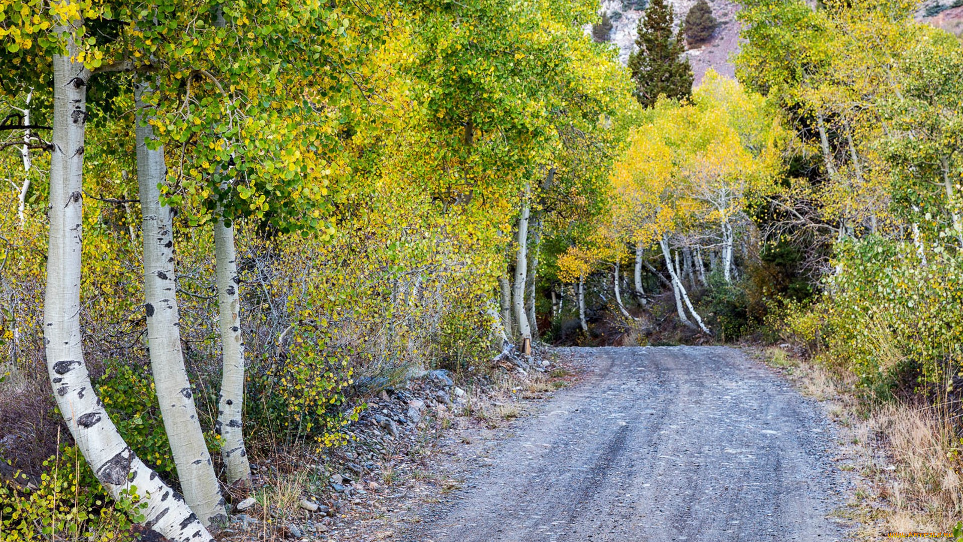 природа, дороги, простор