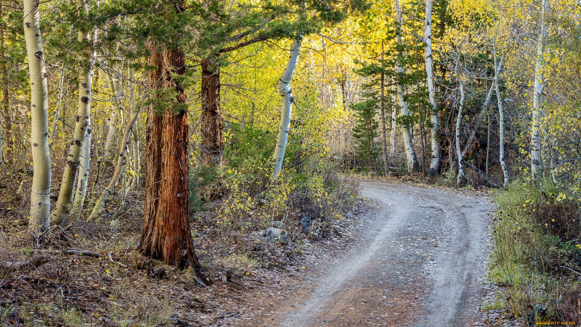 природа, дороги, простор