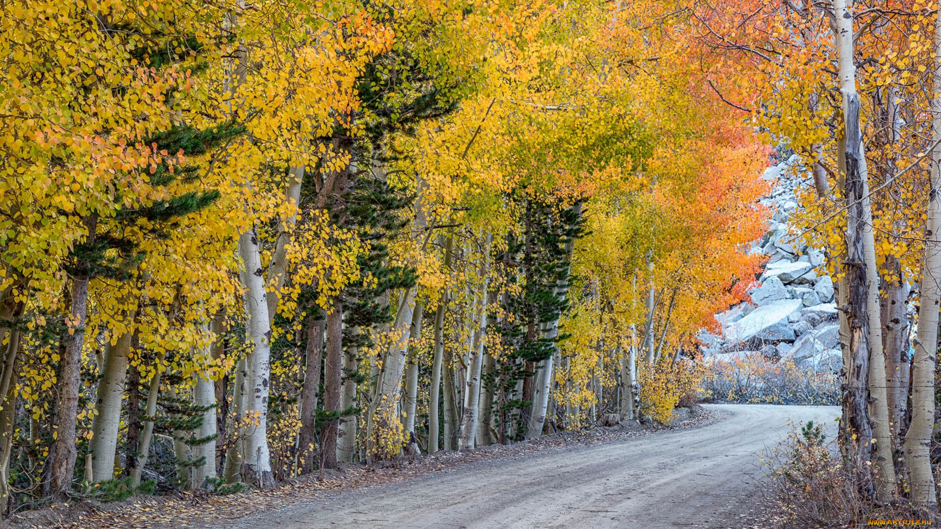 природа, дороги, простор