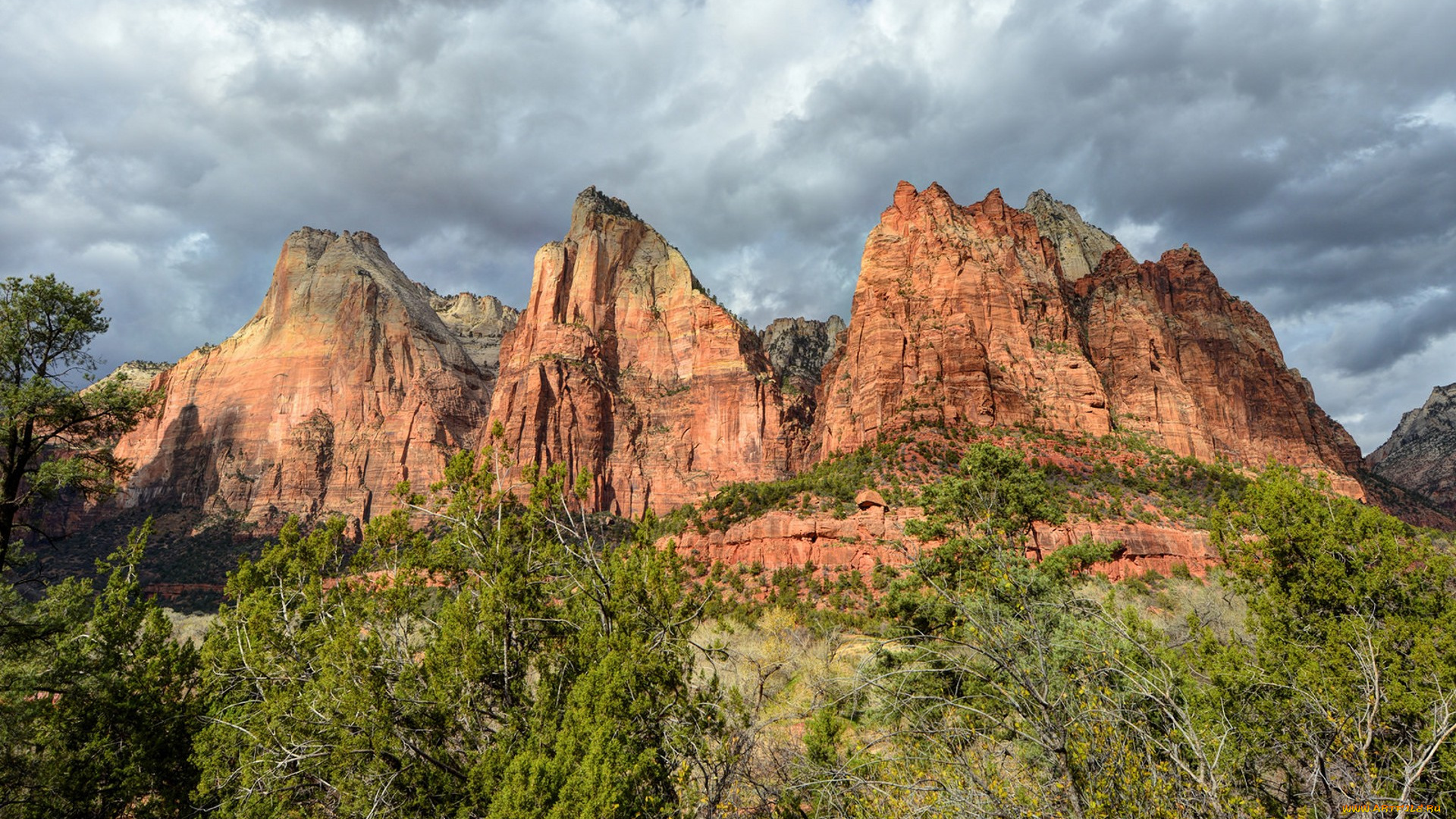 природа, горы, простор