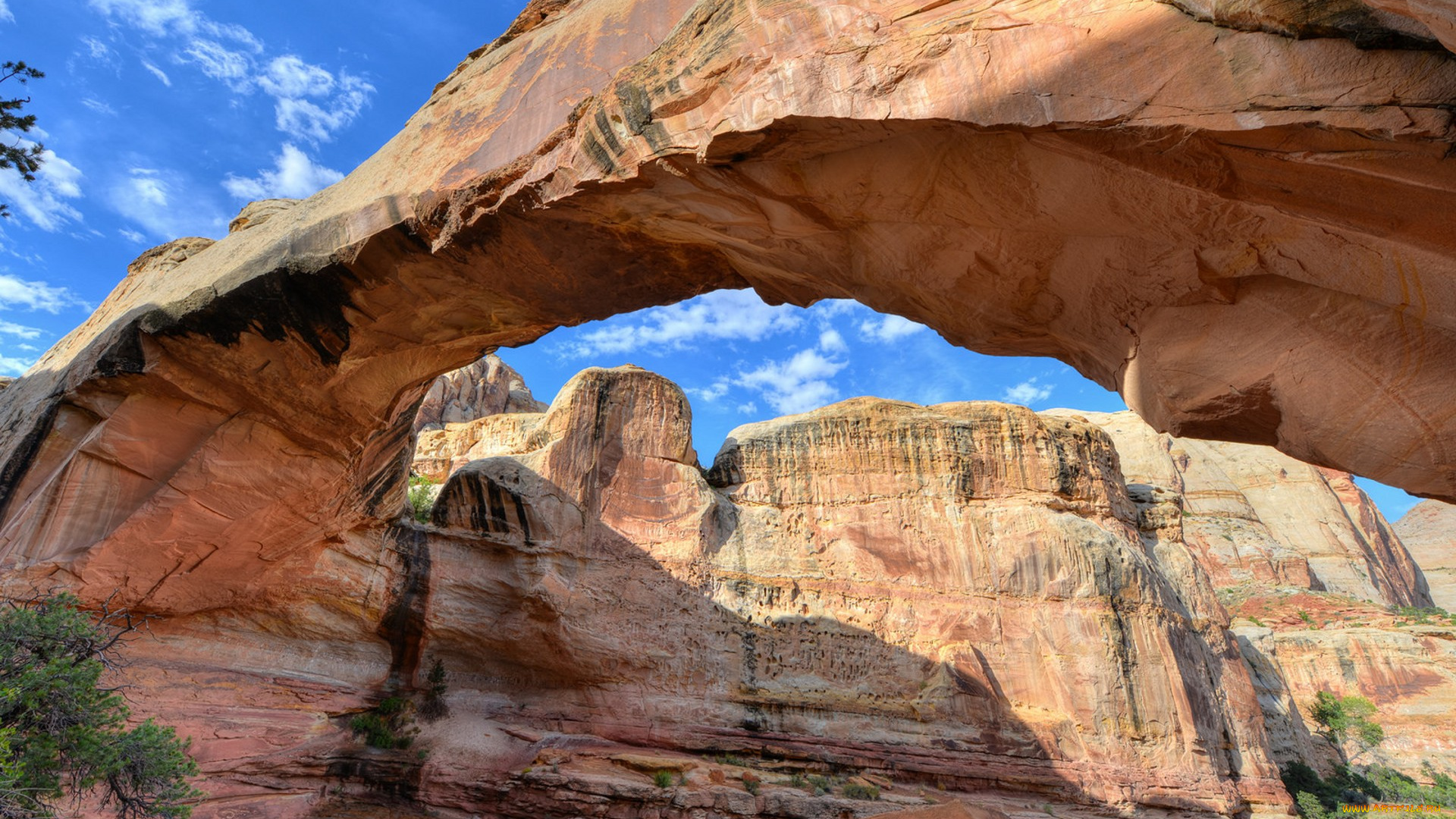 природа, горы, простор