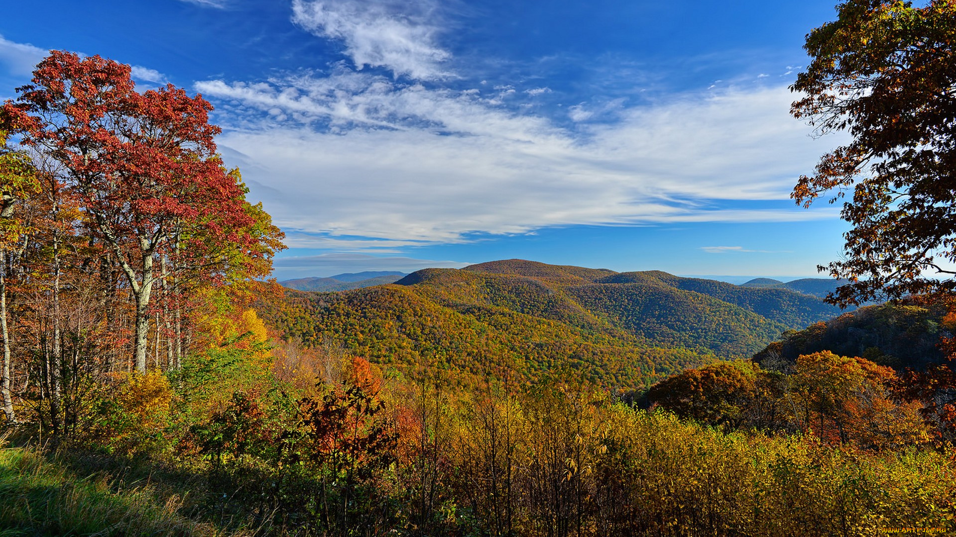 природа, пейзажи, простор
