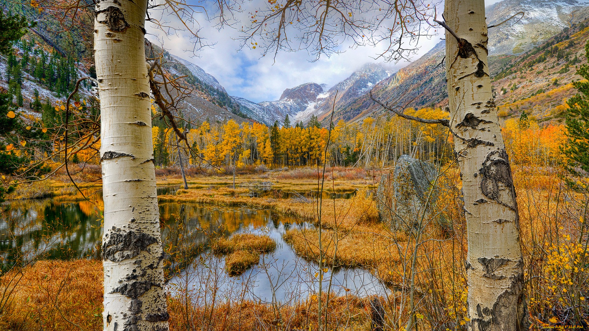 природа, пейзажи, простор