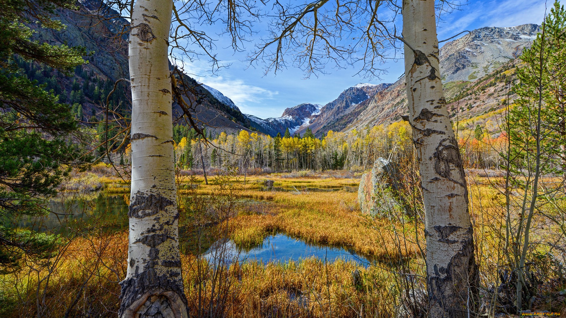 природа, пейзажи, простор