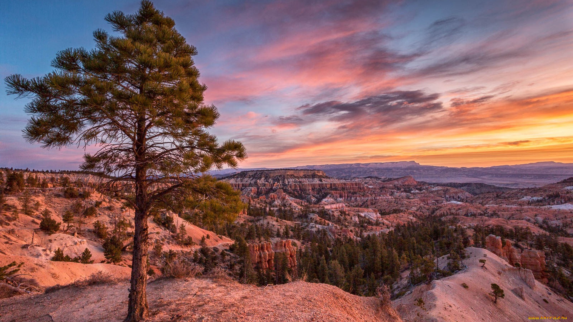 природа, пейзажи, простор