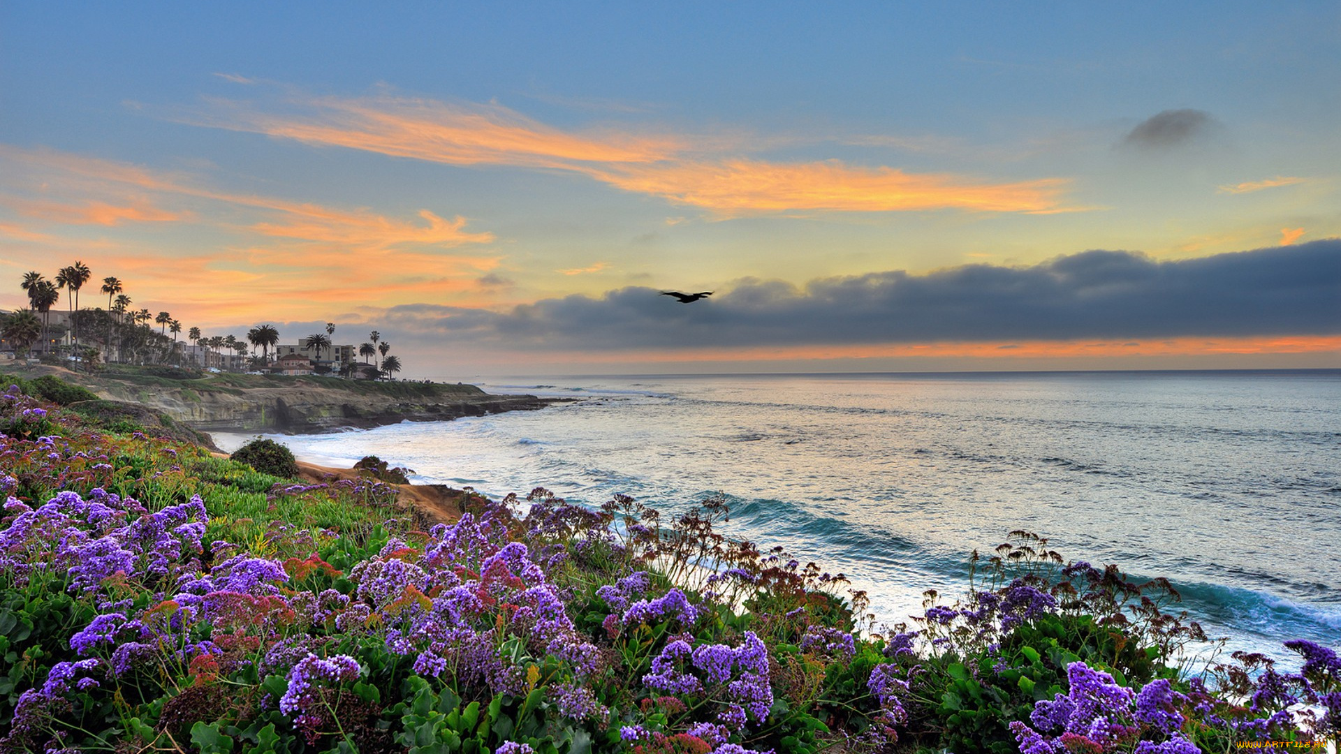 природа, побережье, простор