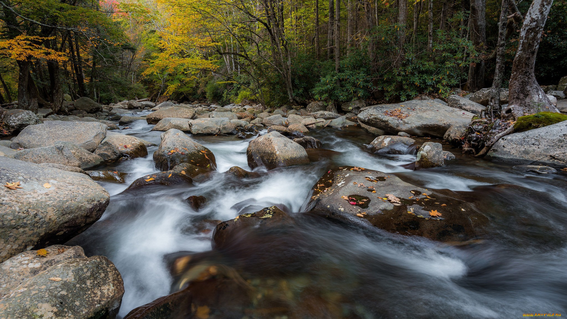 природа, реки, озера, лес, камни, речка