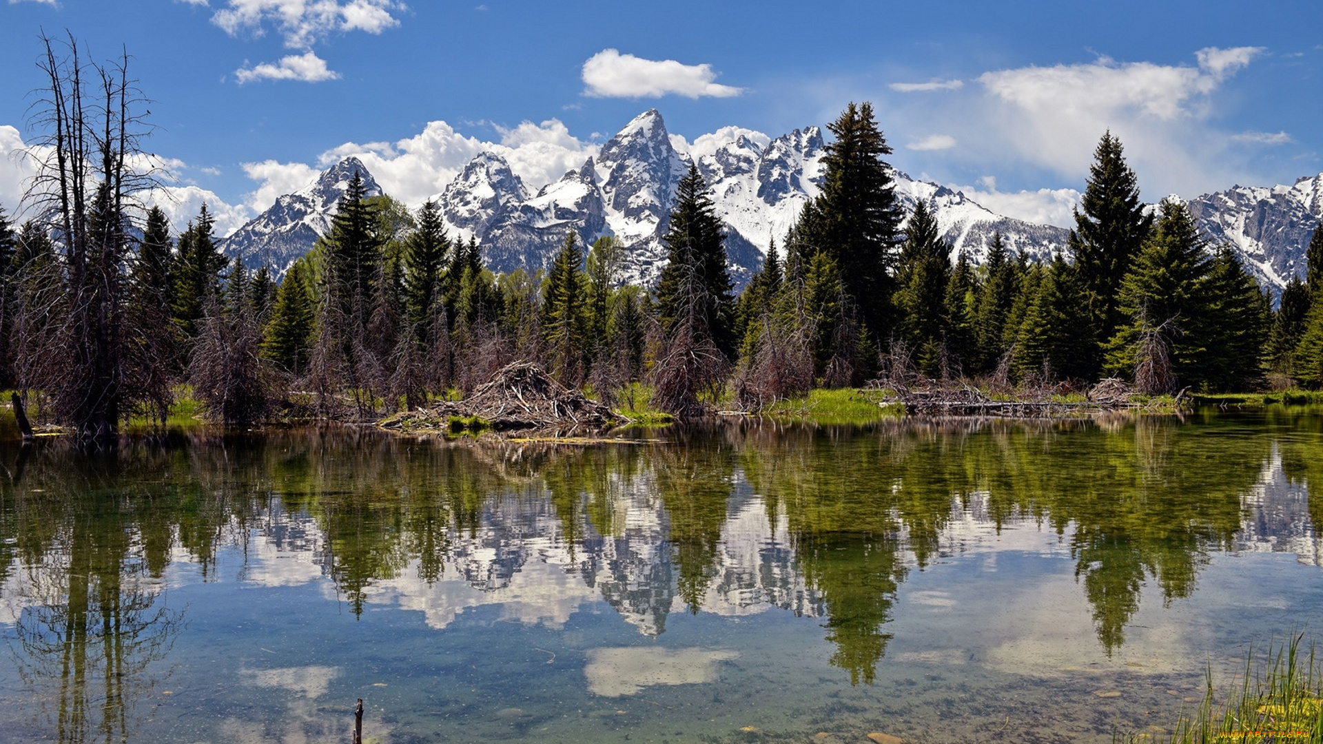 природа, реки, озера, простор