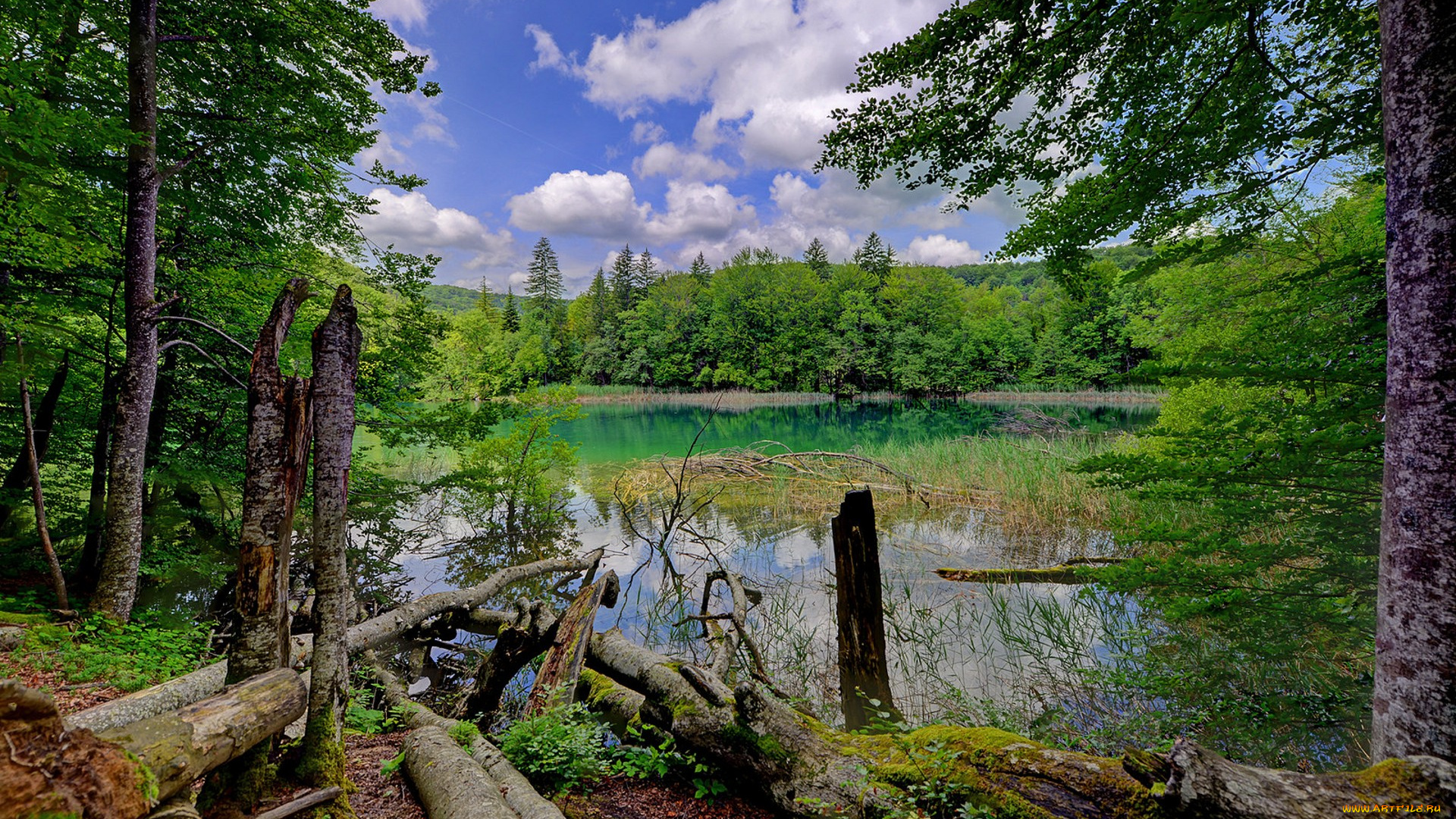 природа, реки, озера, простор