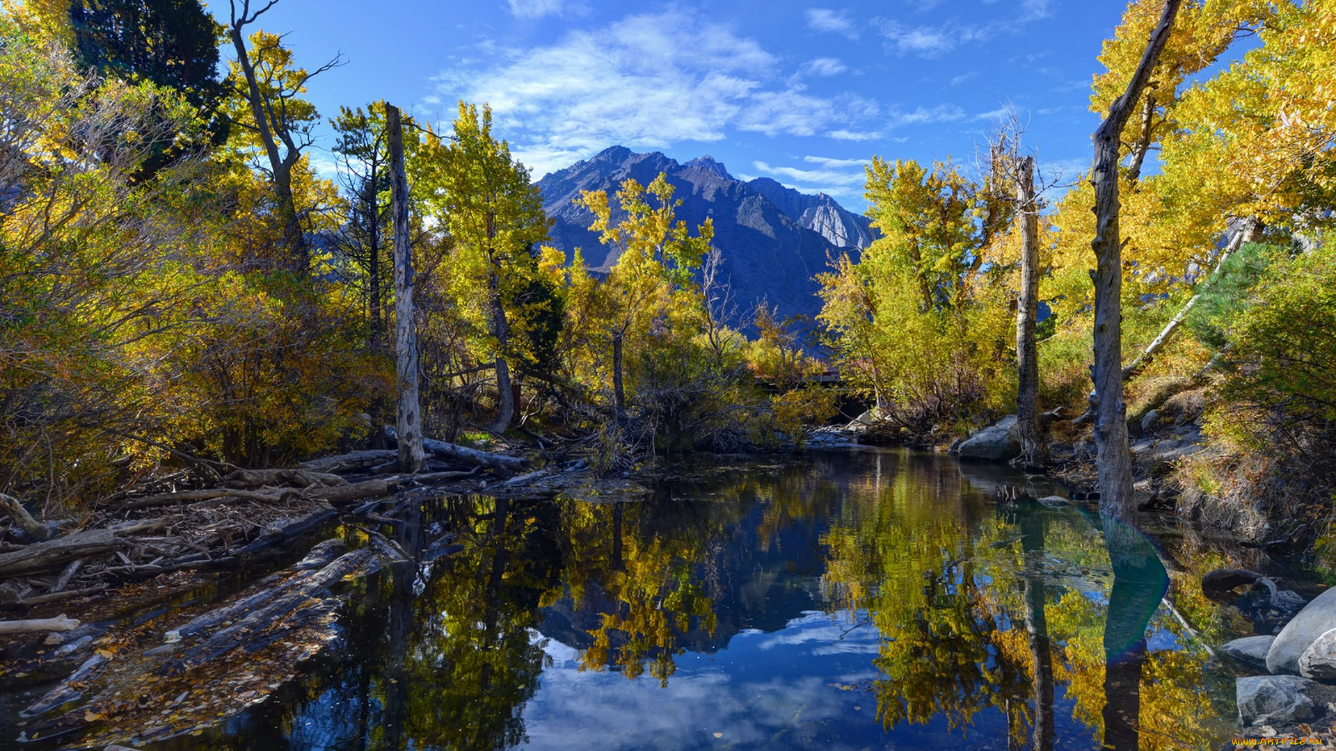 природа, реки, озера, простор