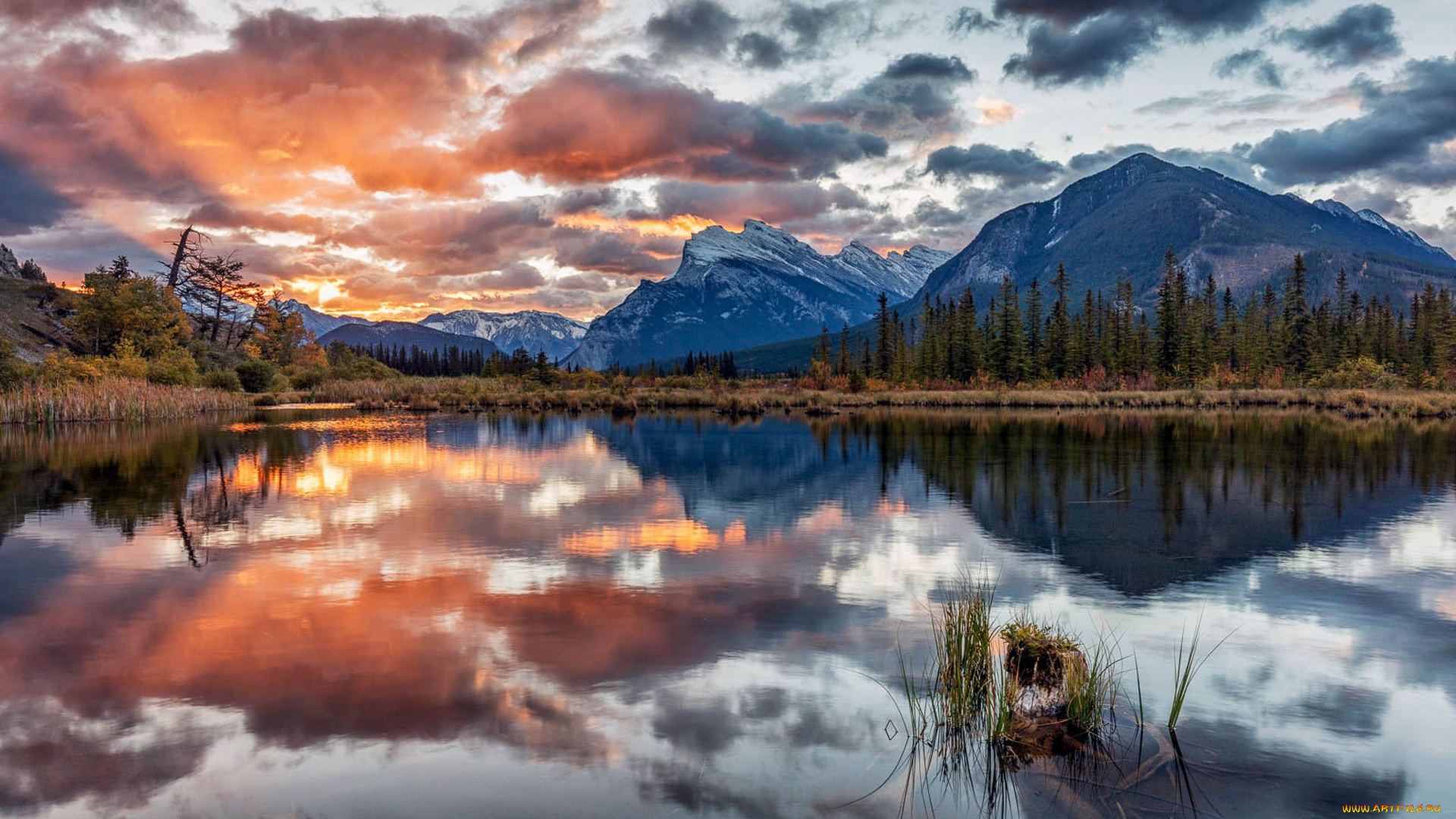 природа, реки, озера, простор