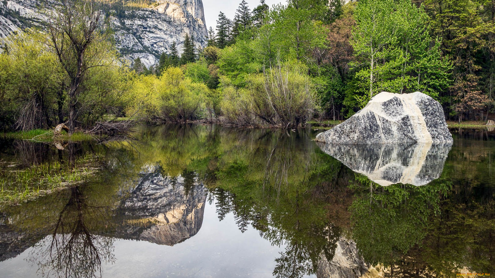 природа, реки, озера, простор