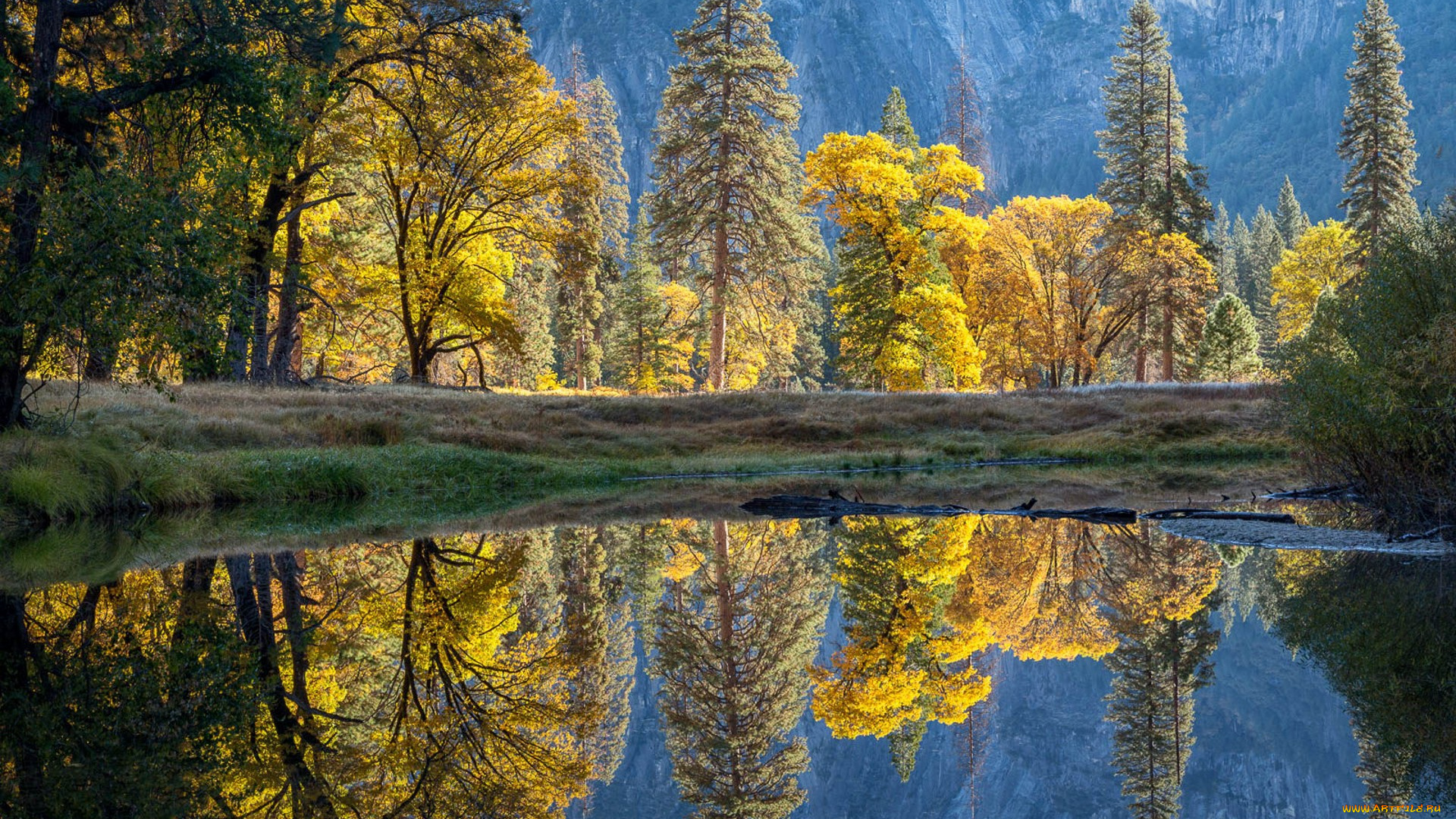 природа, реки, озера, простор