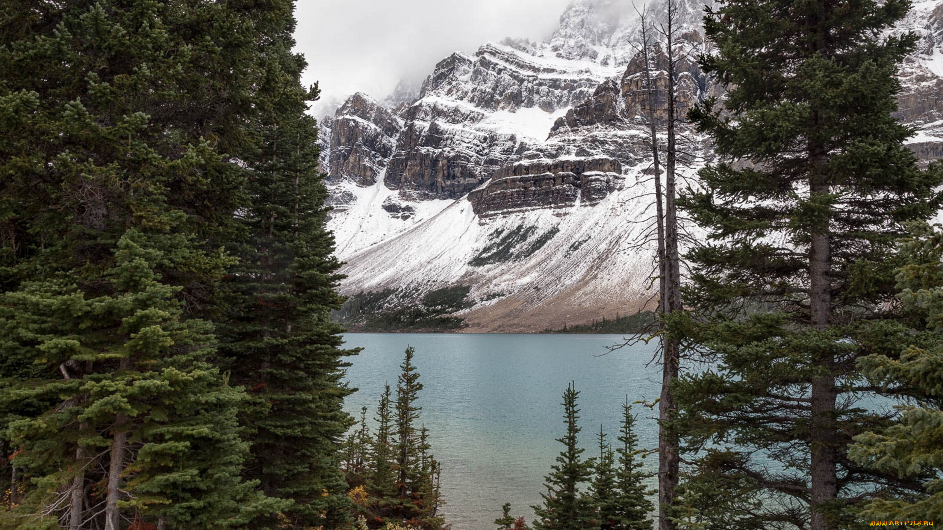 природа, реки, озера, простор