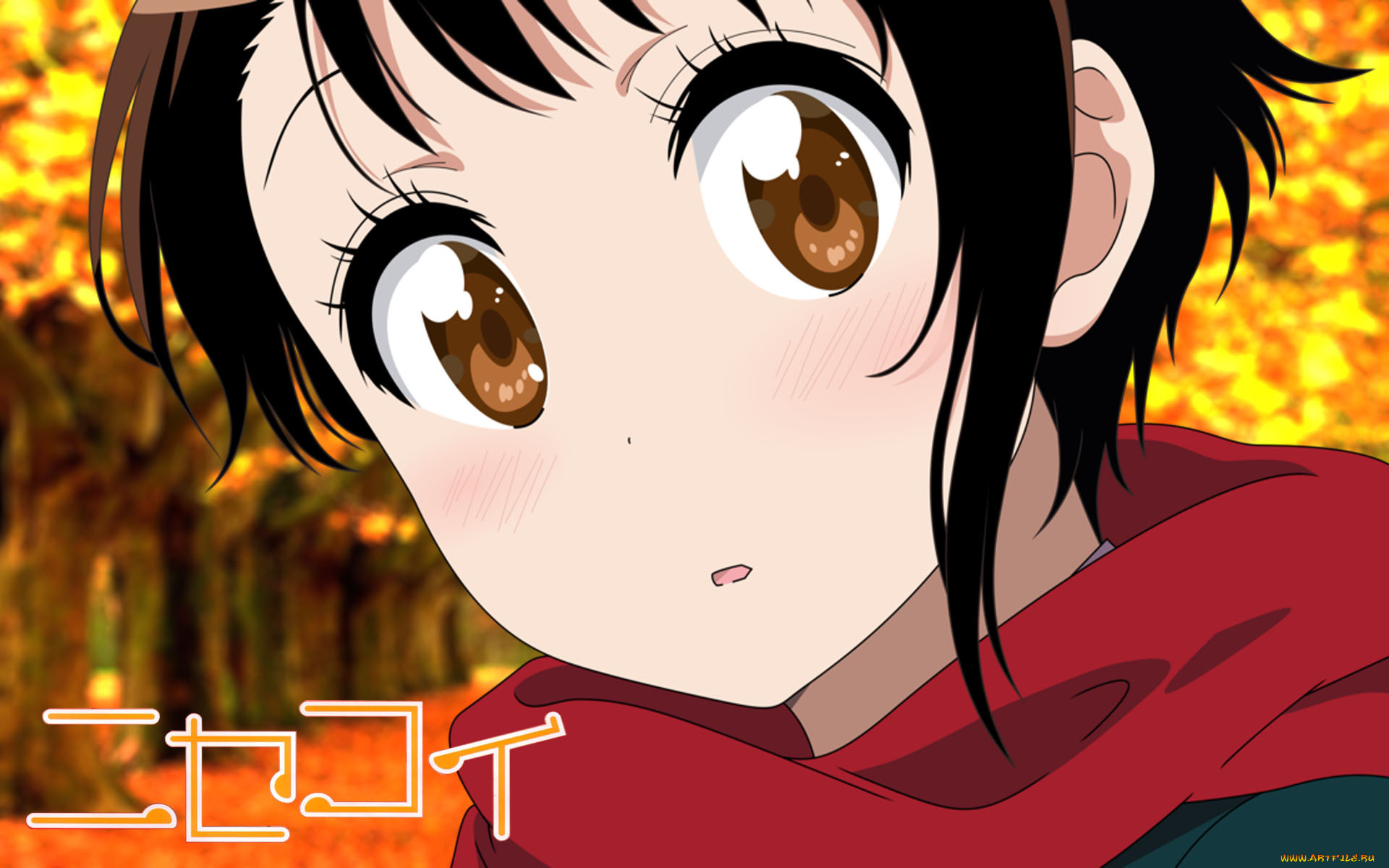 аниме, nisekoi, взгляд, фон, девушка