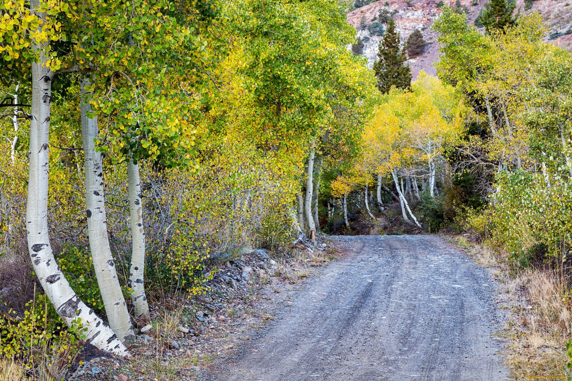 природа, дороги, простор