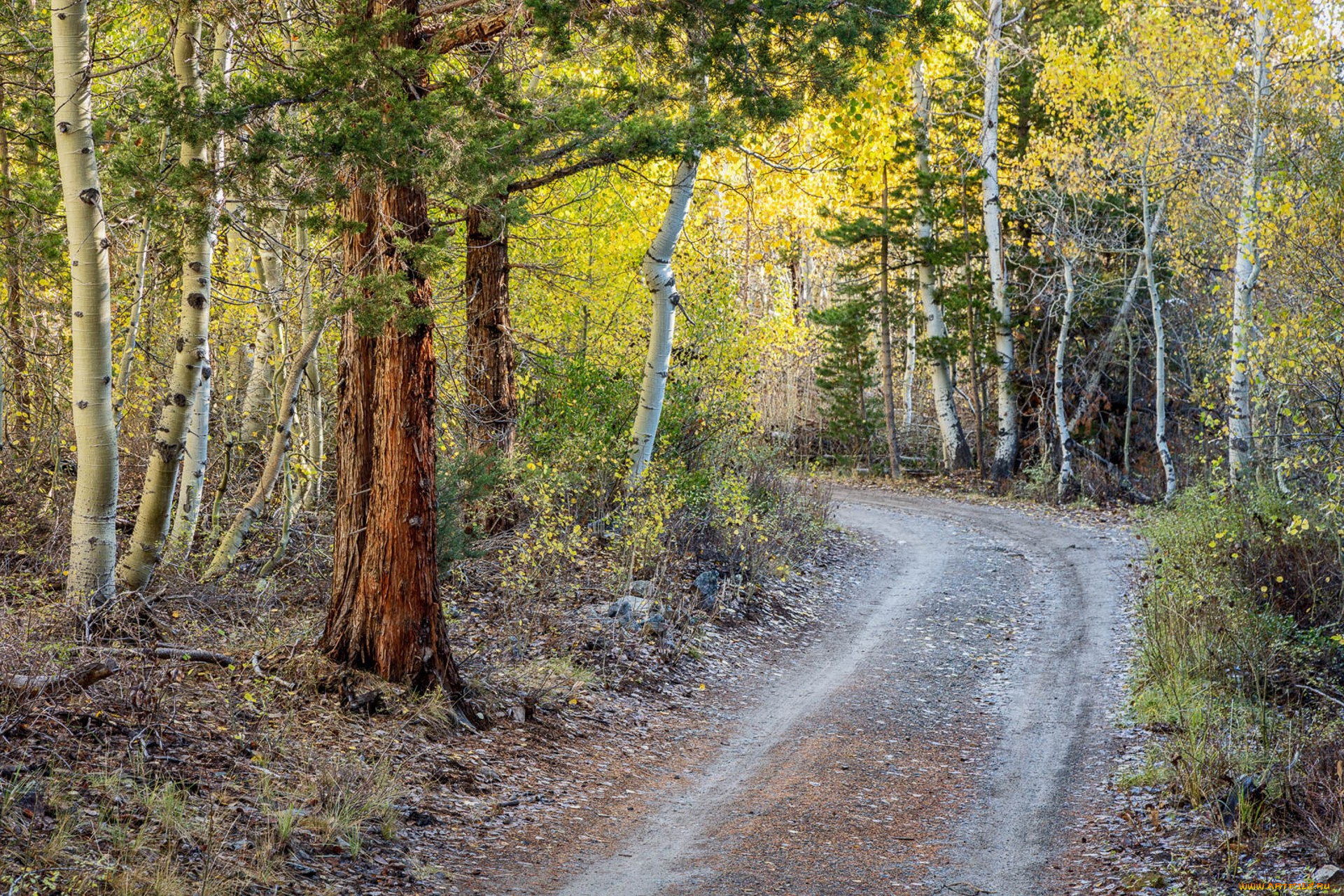 природа, дороги, простор