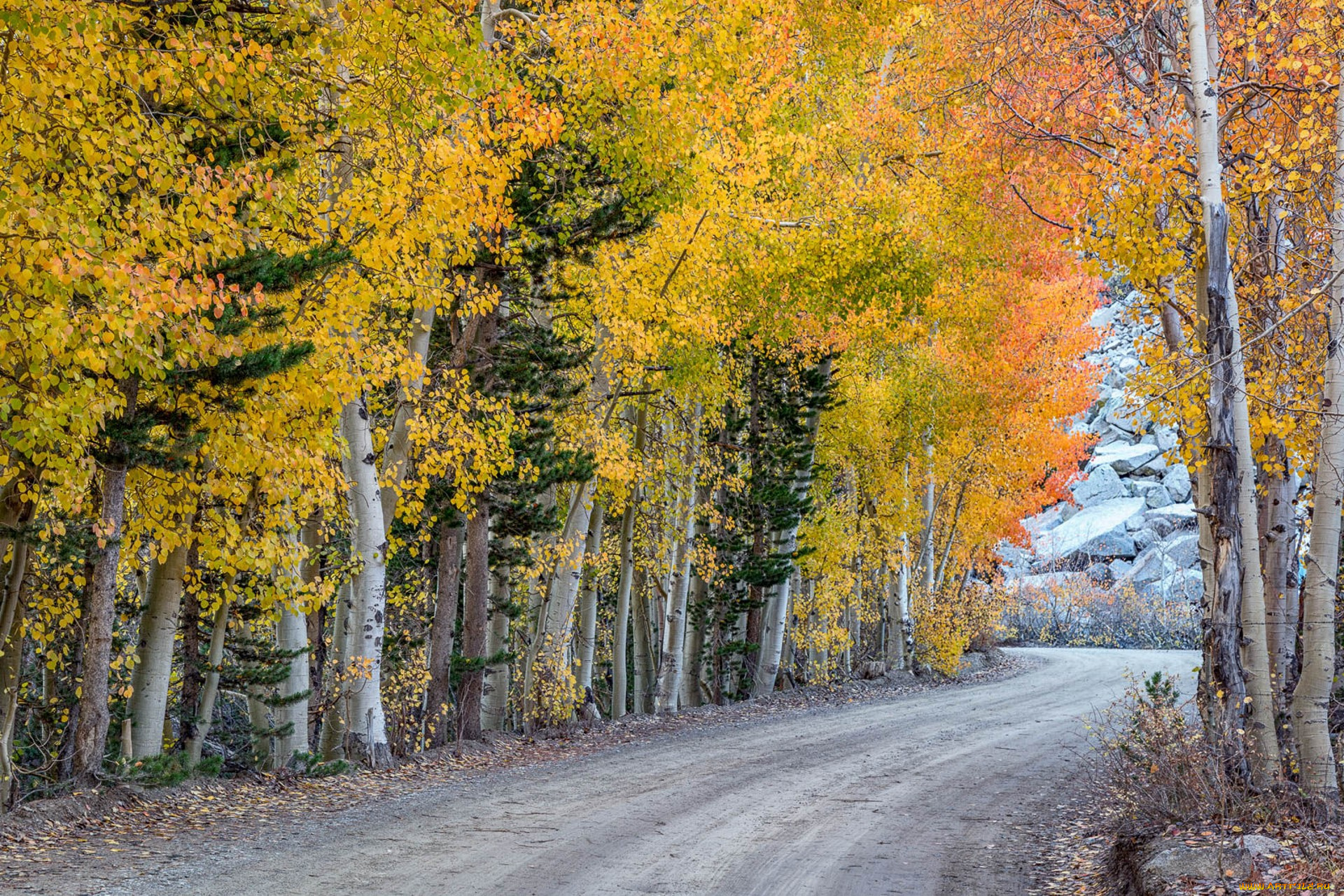 природа, дороги, простор