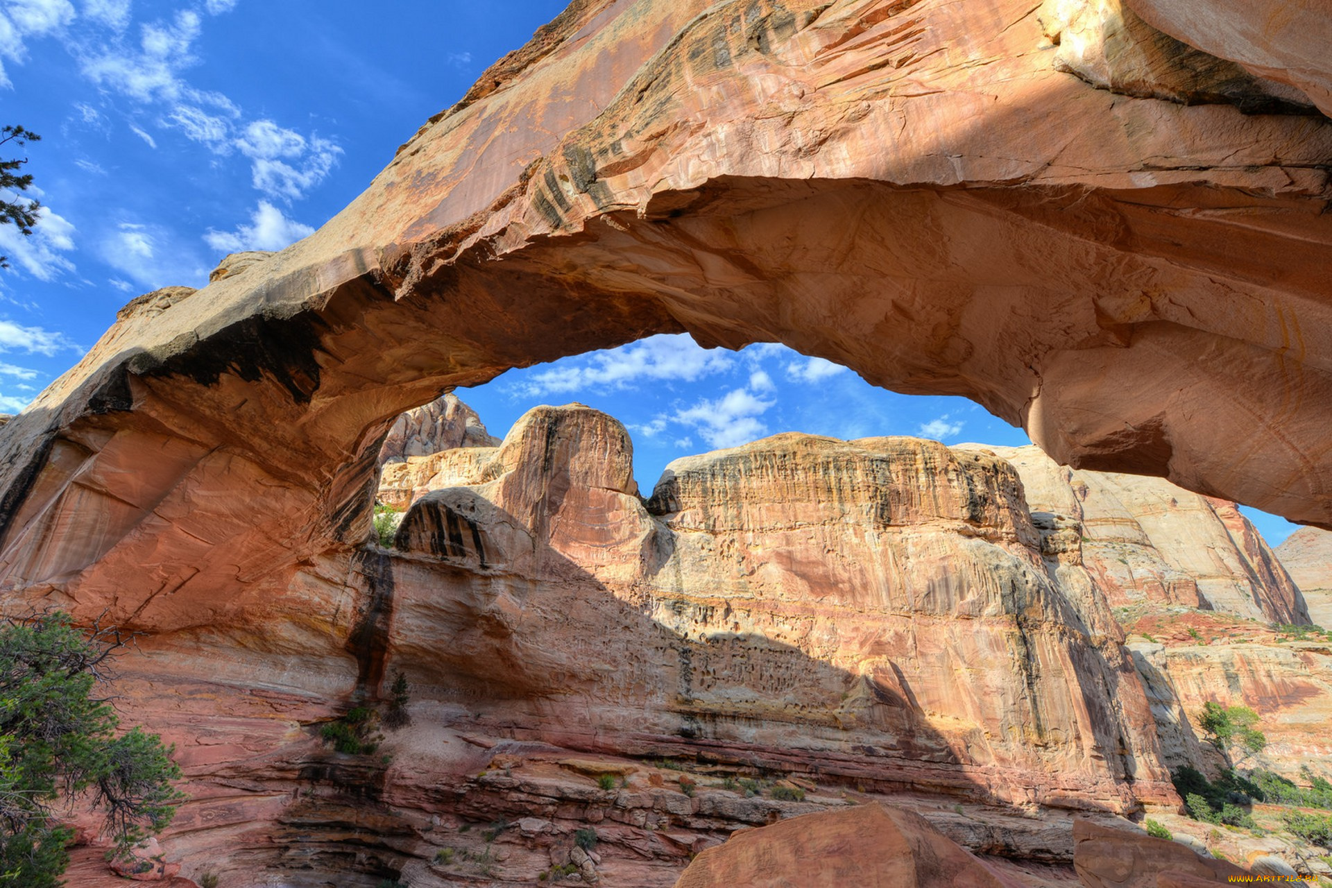 природа, горы, простор