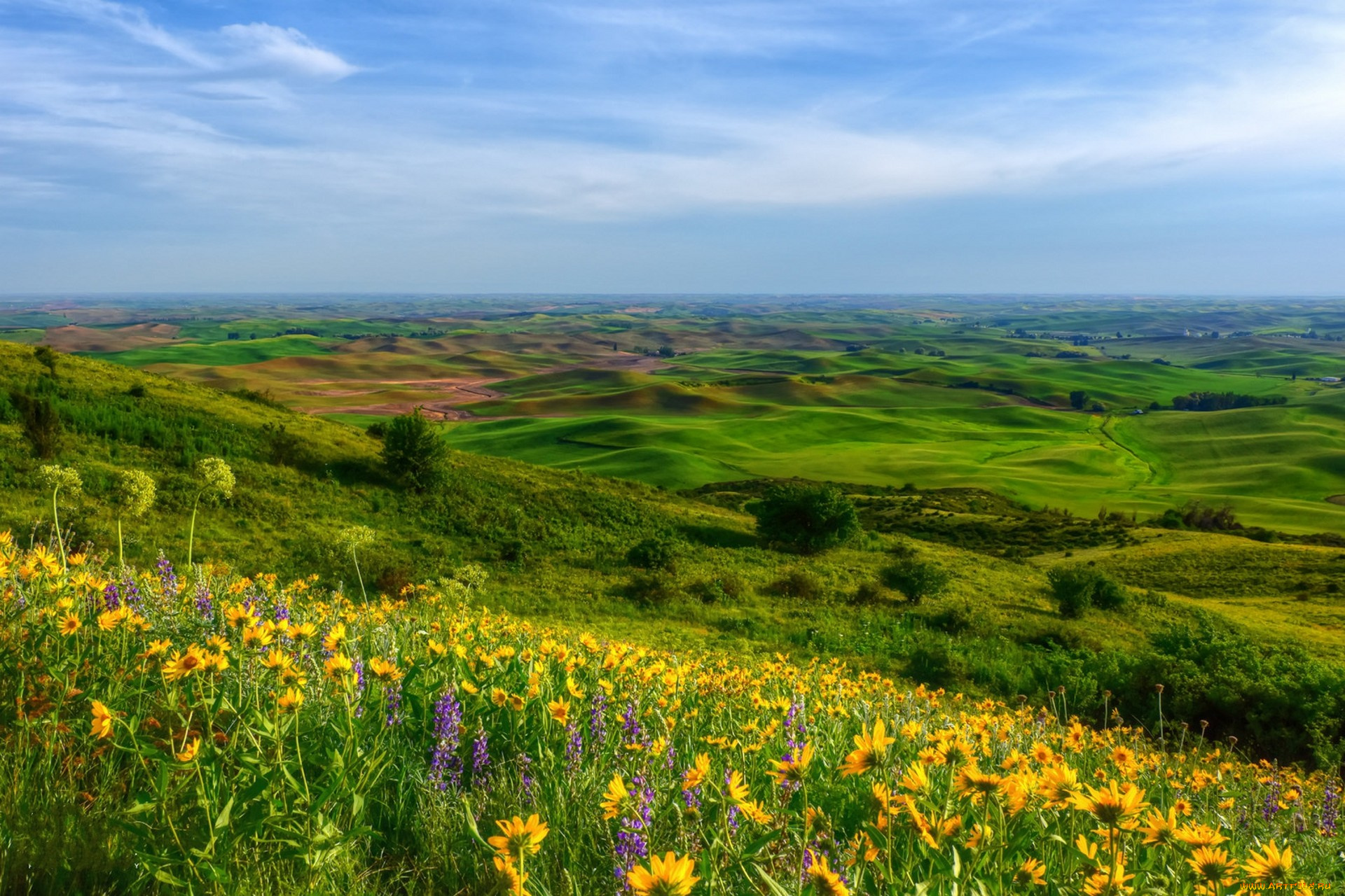 природа, пейзажи, простор