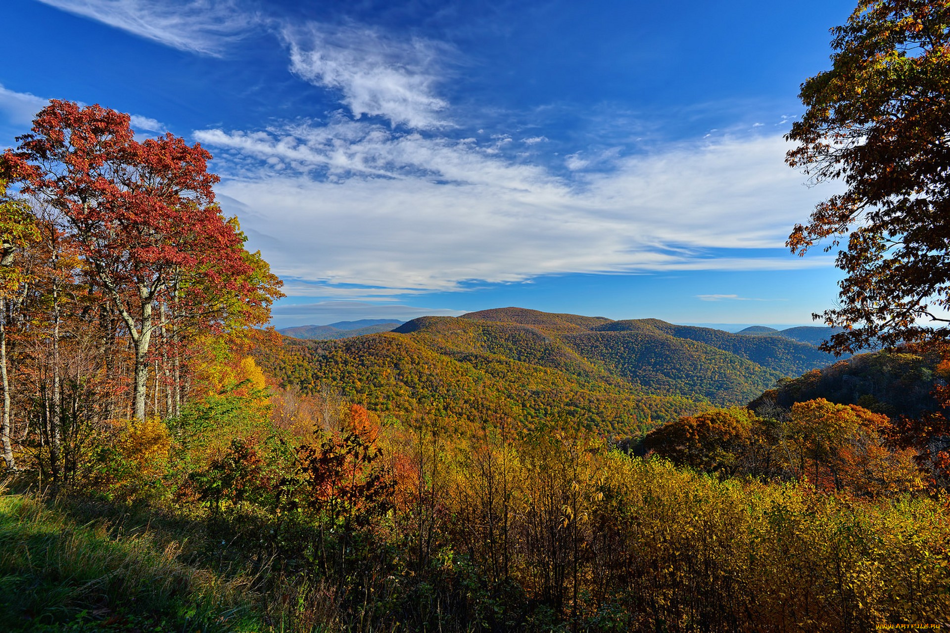 природа, пейзажи, простор
