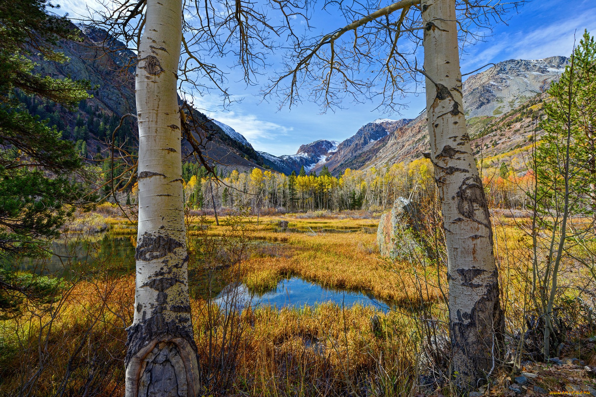 природа, пейзажи, простор