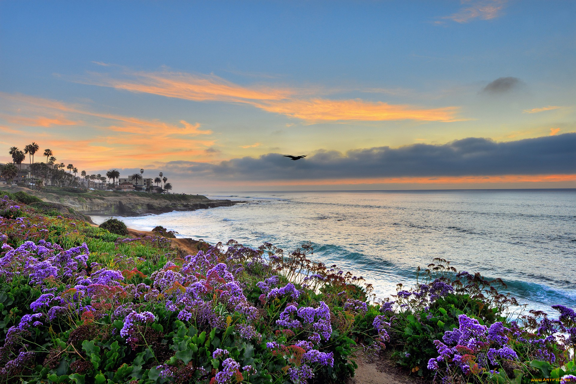 природа, побережье, простор