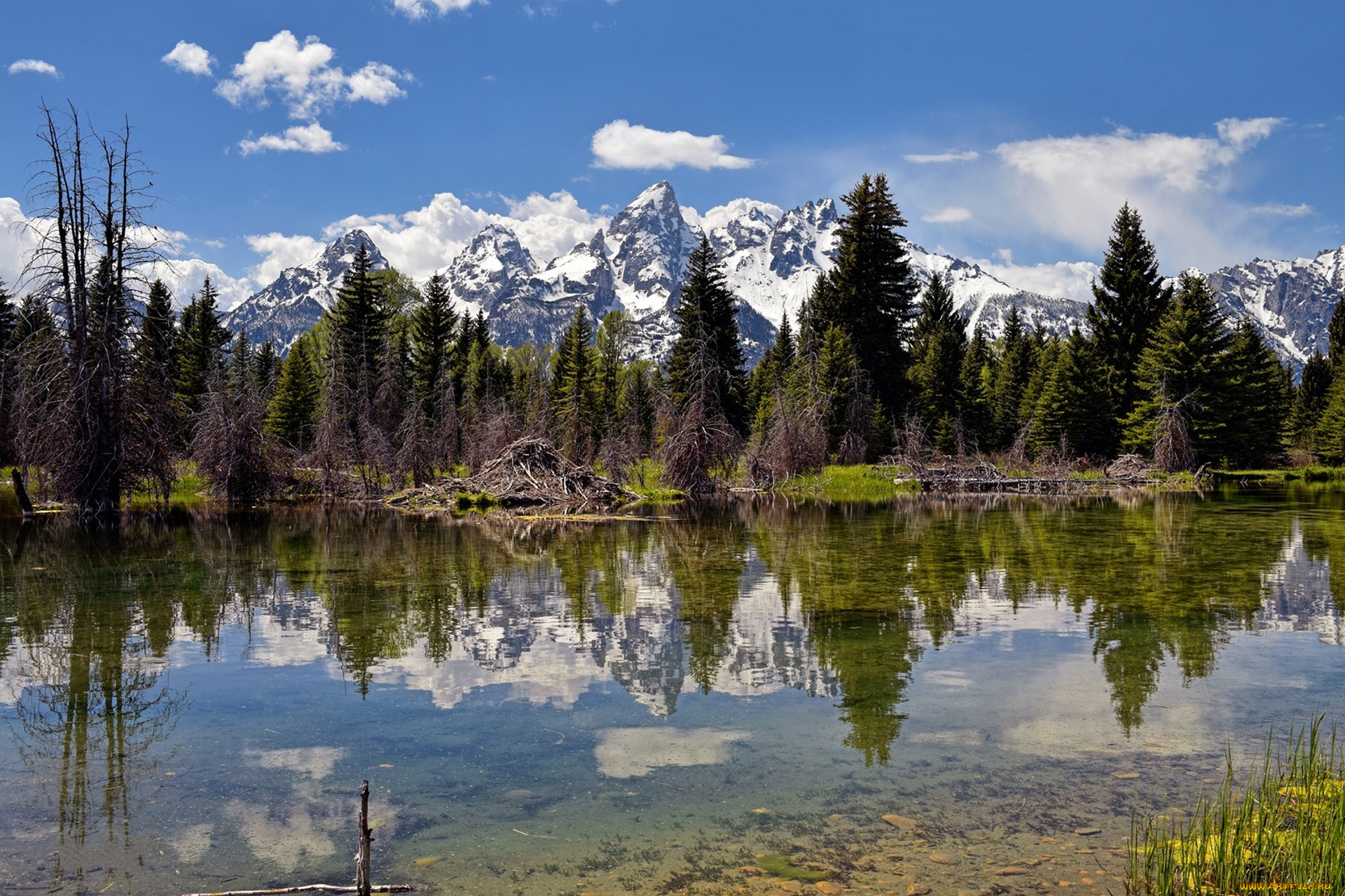 природа, реки, озера, простор