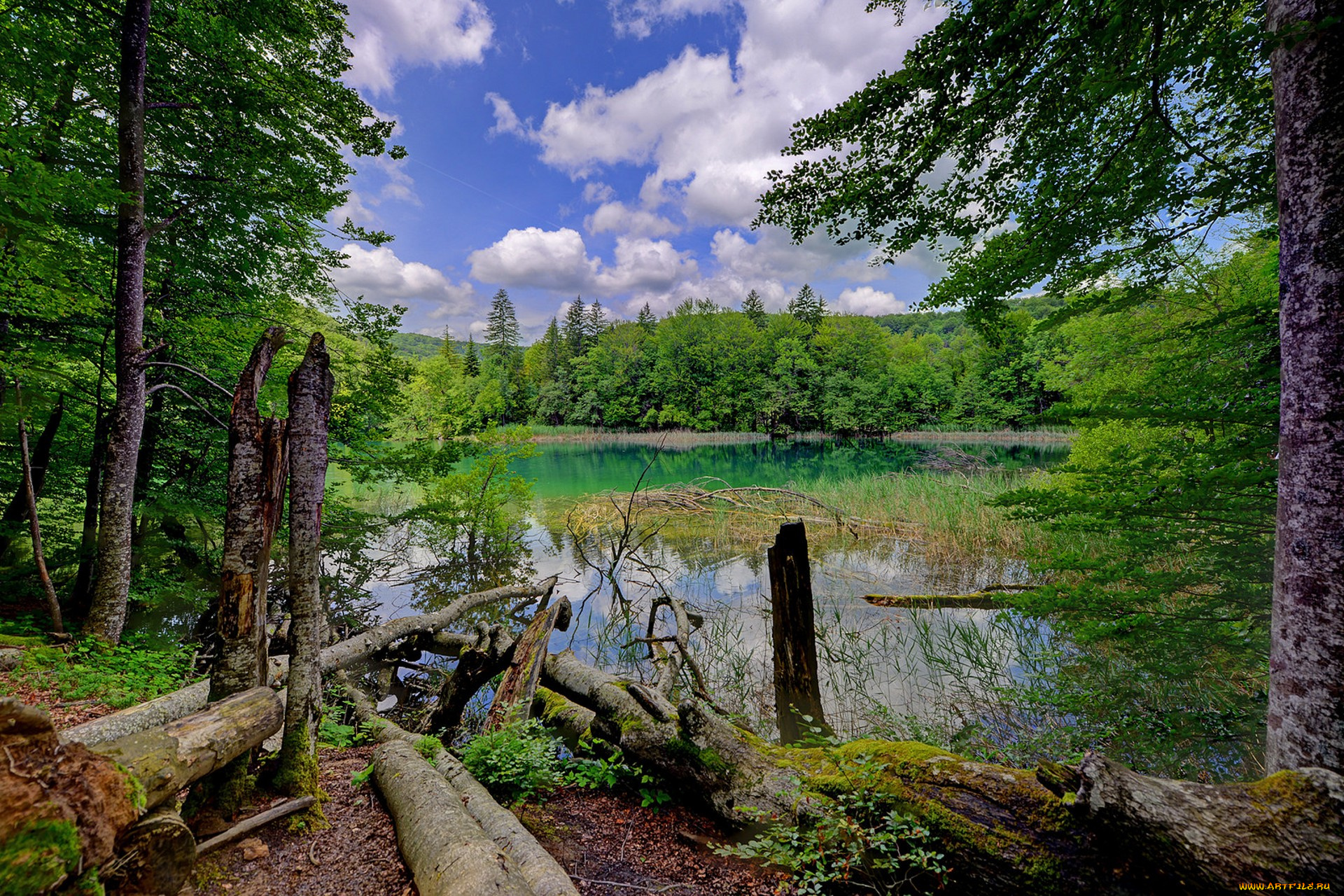 природа, реки, озера, простор