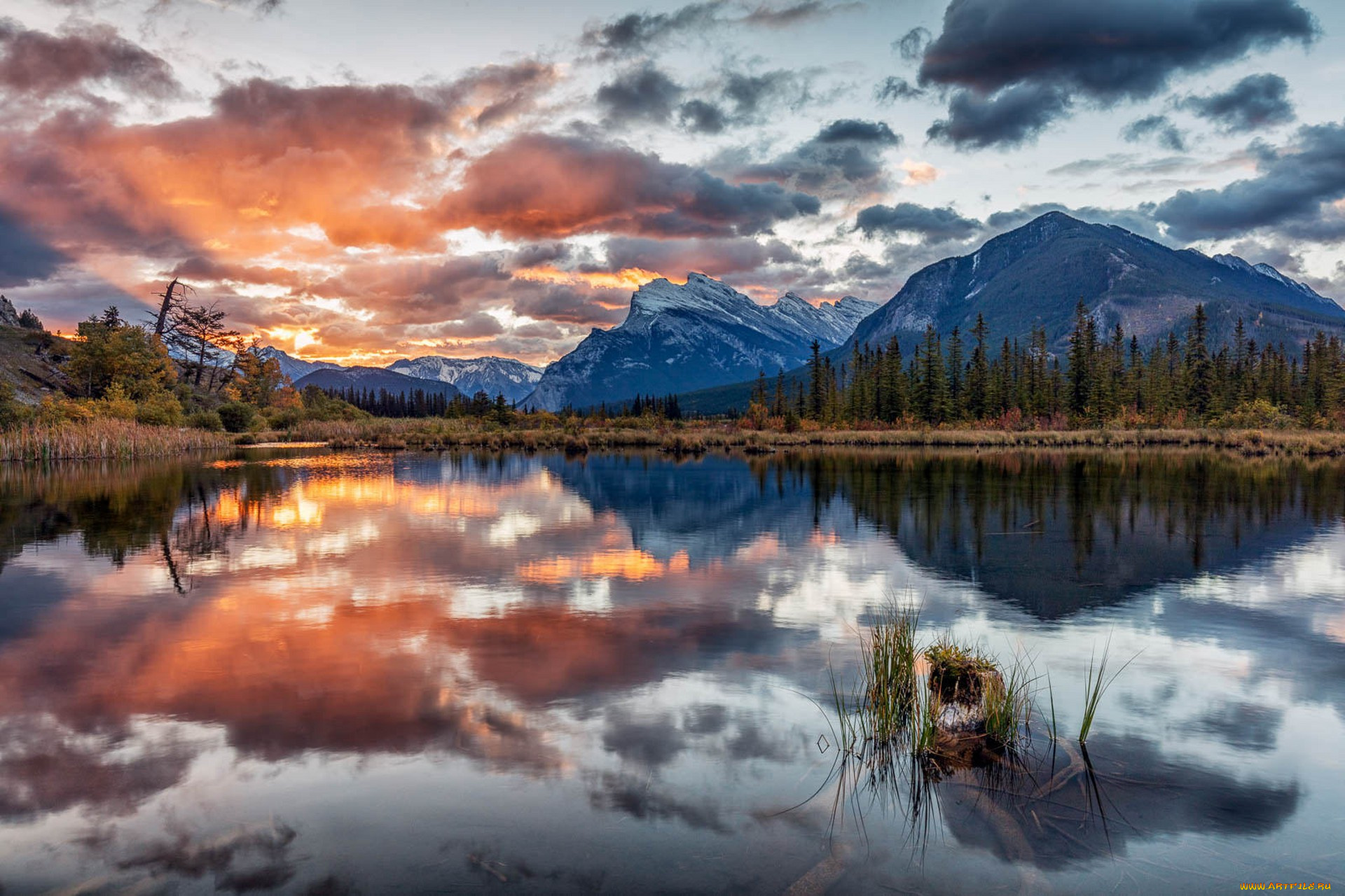 природа, реки, озера, простор